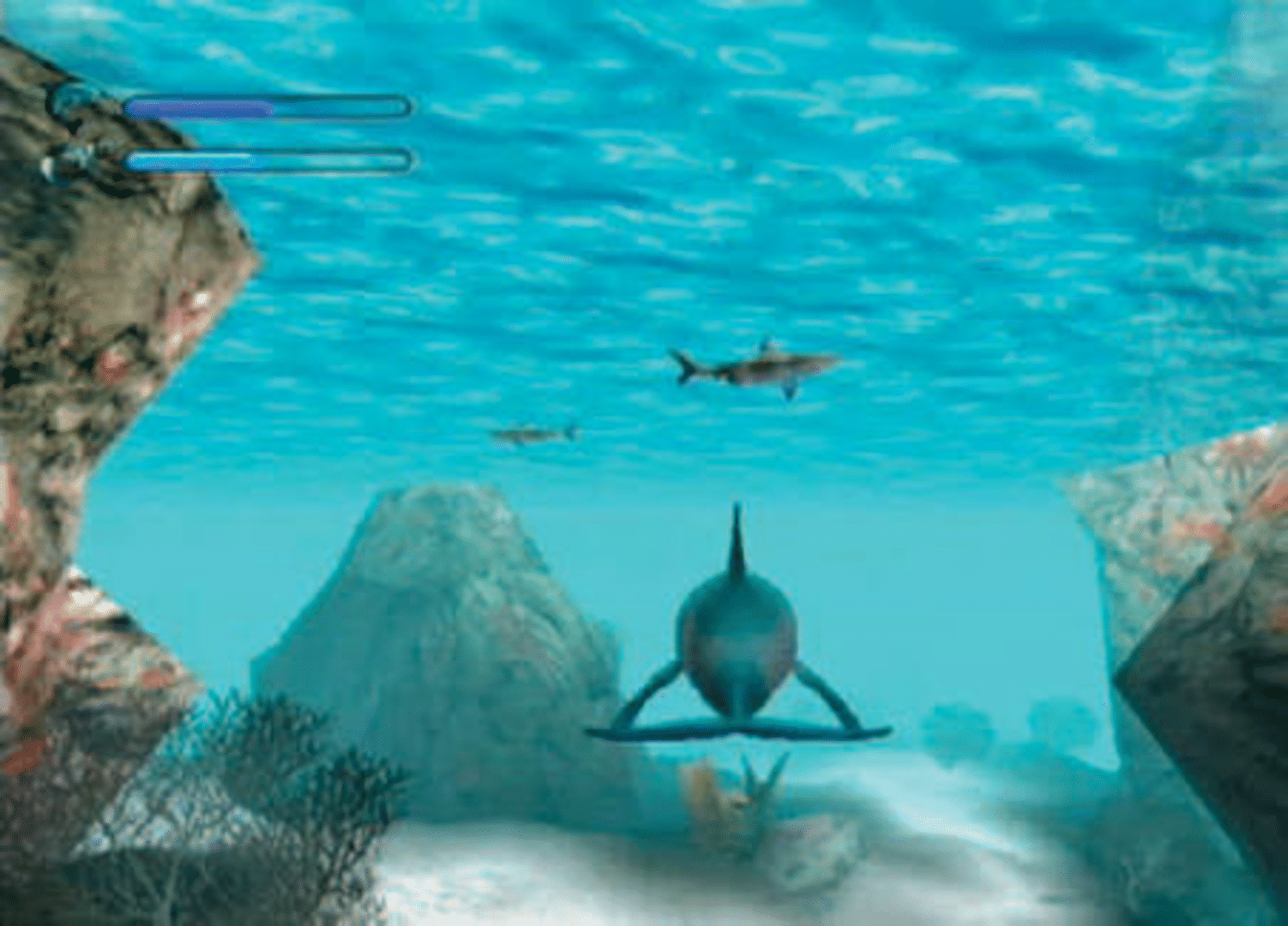 Ecco the Dolphin: Defender of the Future screenshot