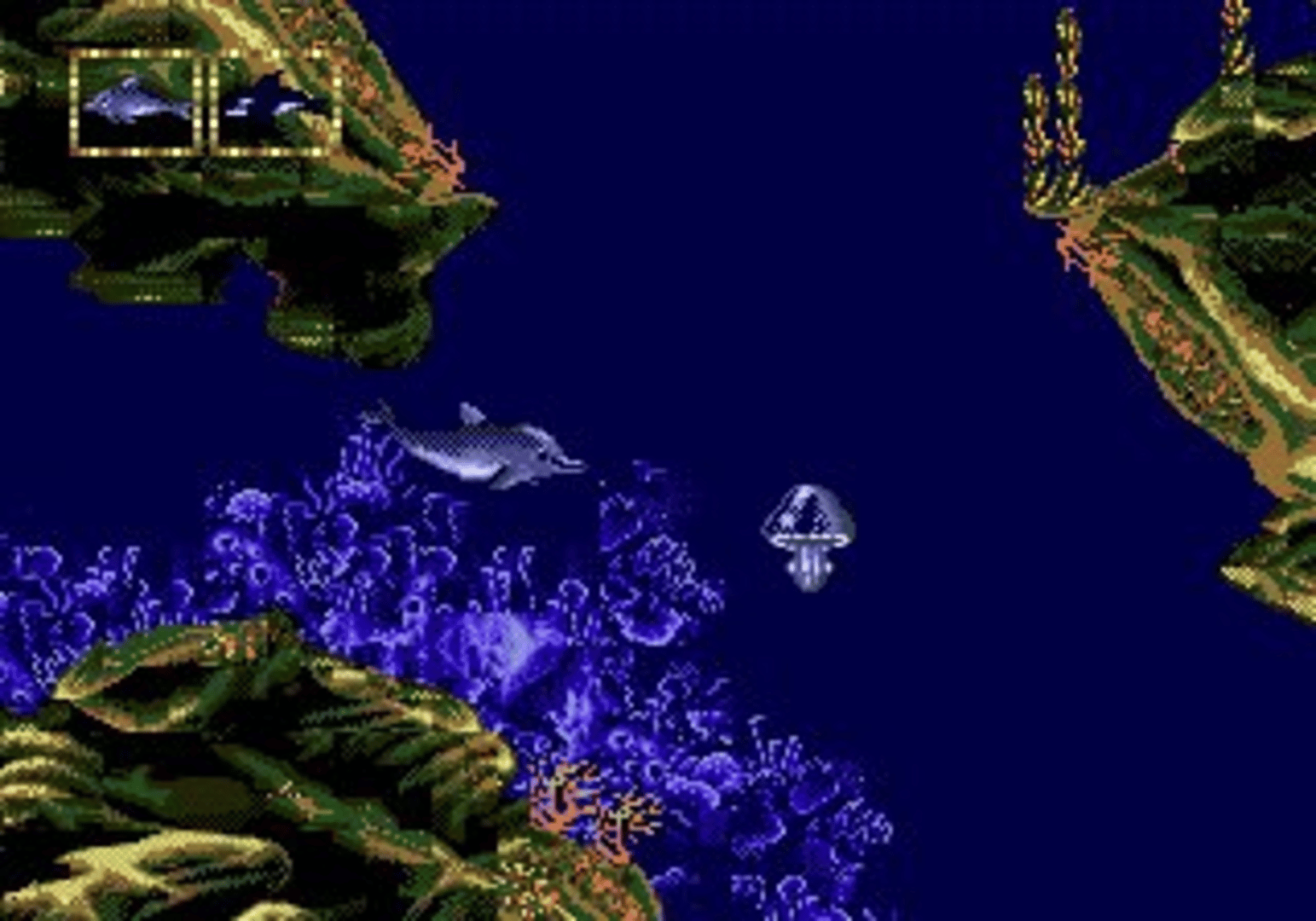 Ecco Jr. screenshot