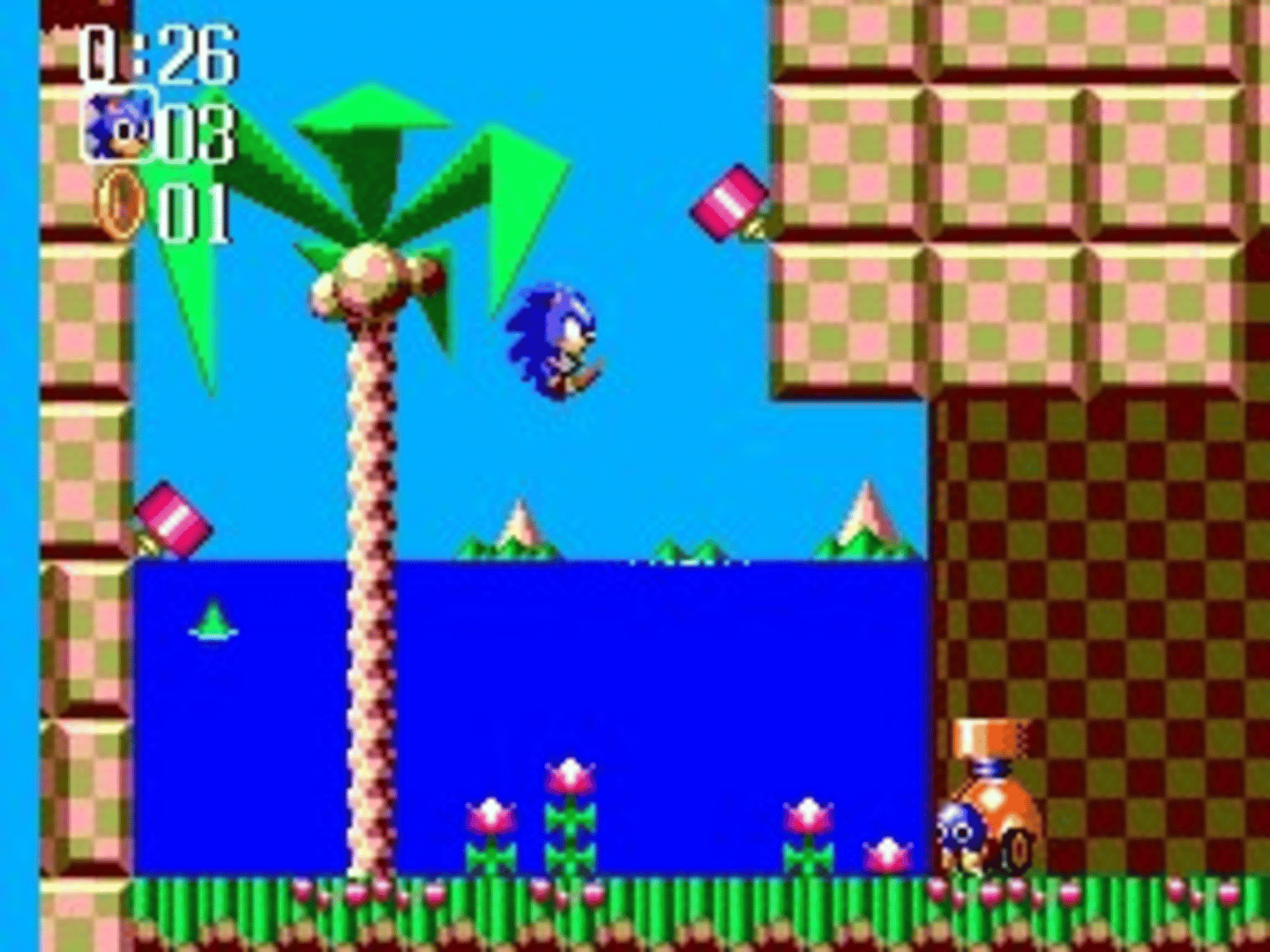 Sonic the Hedgehog Chaos screenshot