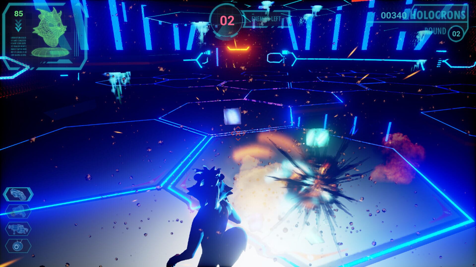 Conran: The Dinky Raccoon - Screenshot