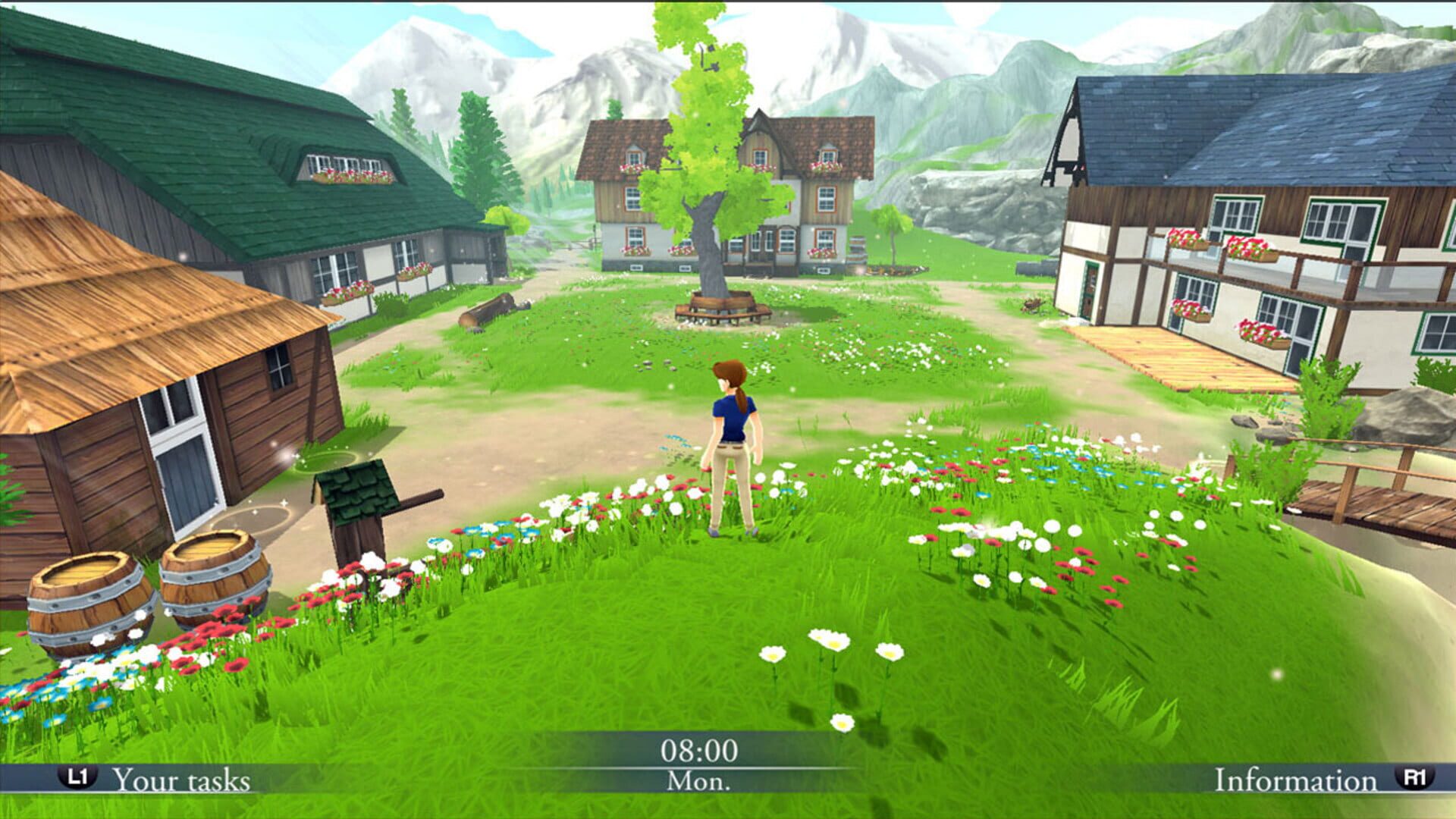 My Riding Stables: Life with Horses 2 - Screenshot