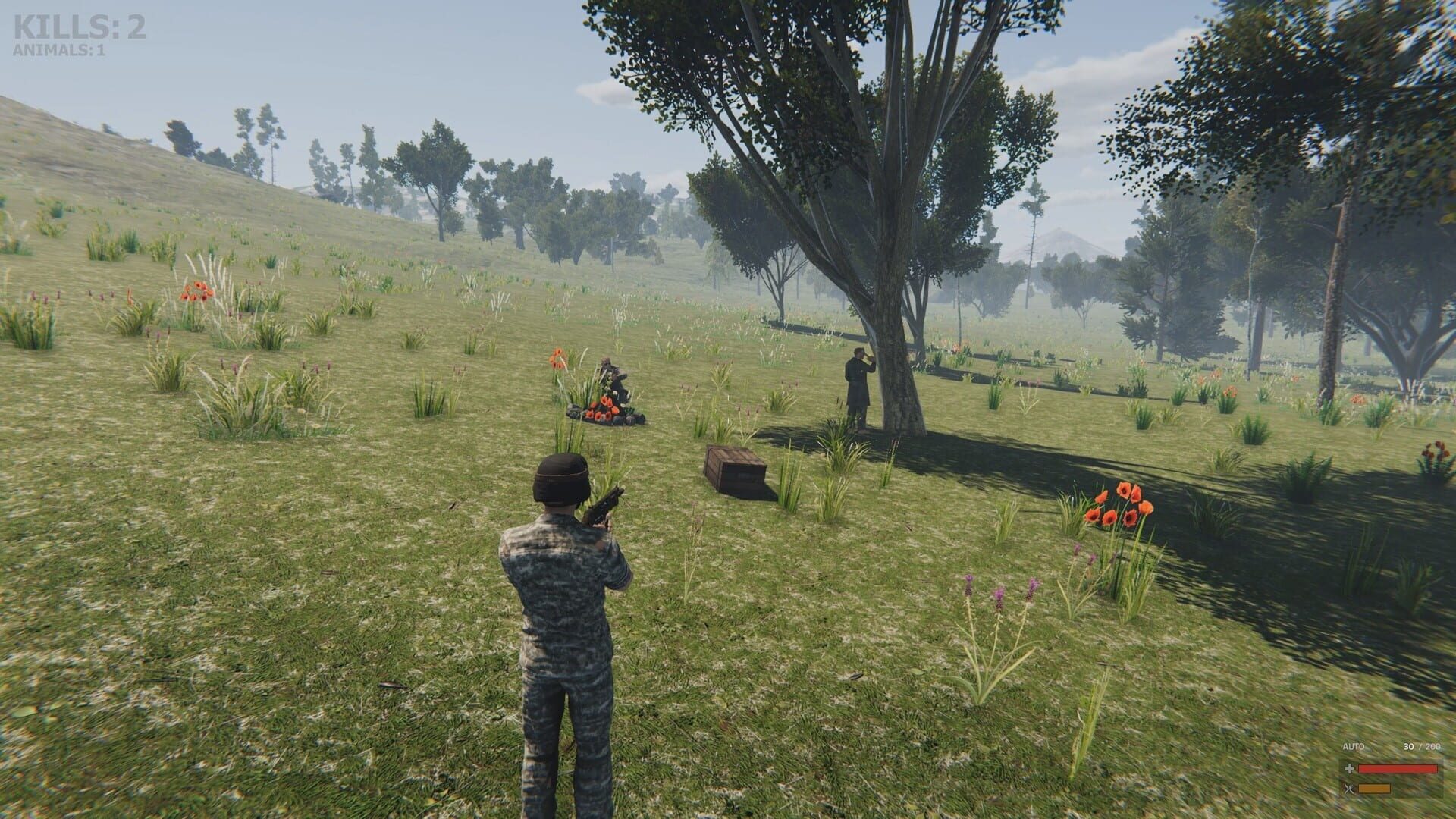 Valley of the foxes - Screenshot