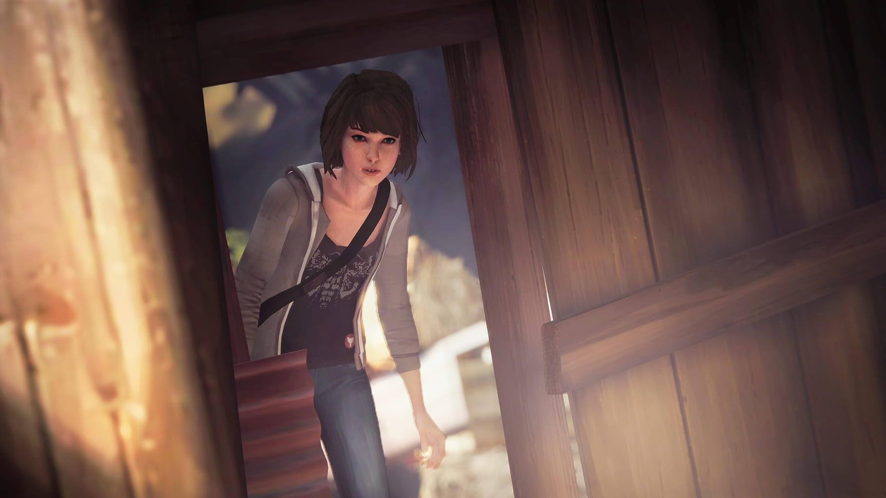 Captura de pantalla - Life is Strange: Episode 4 - Dark Room