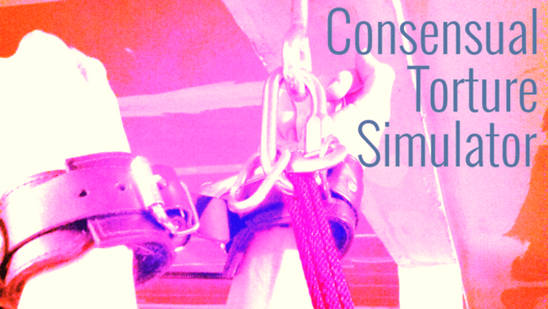 Consensual Torture Simulator Cover