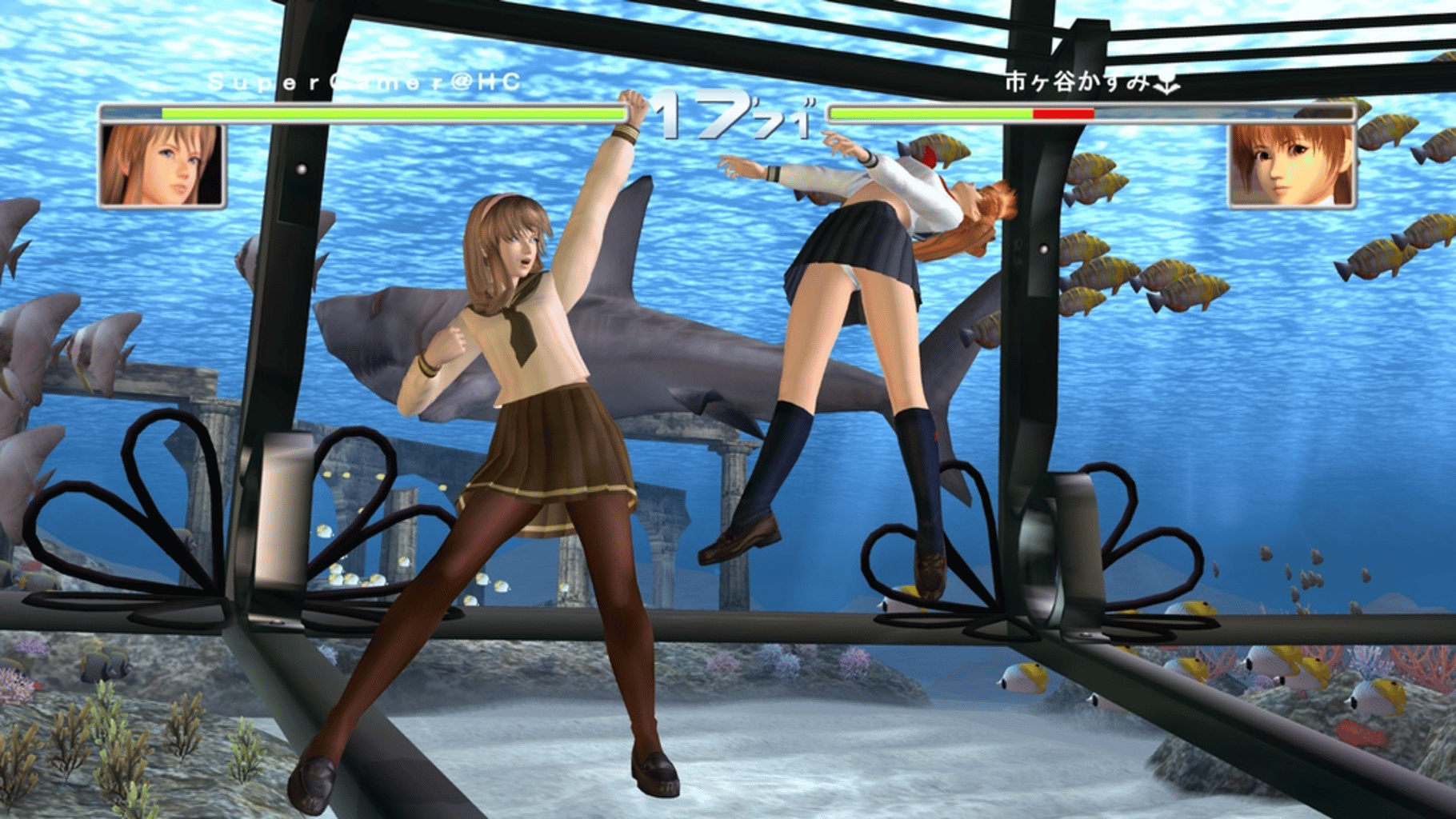 Dead or Alive 1 Ultimate screenshot