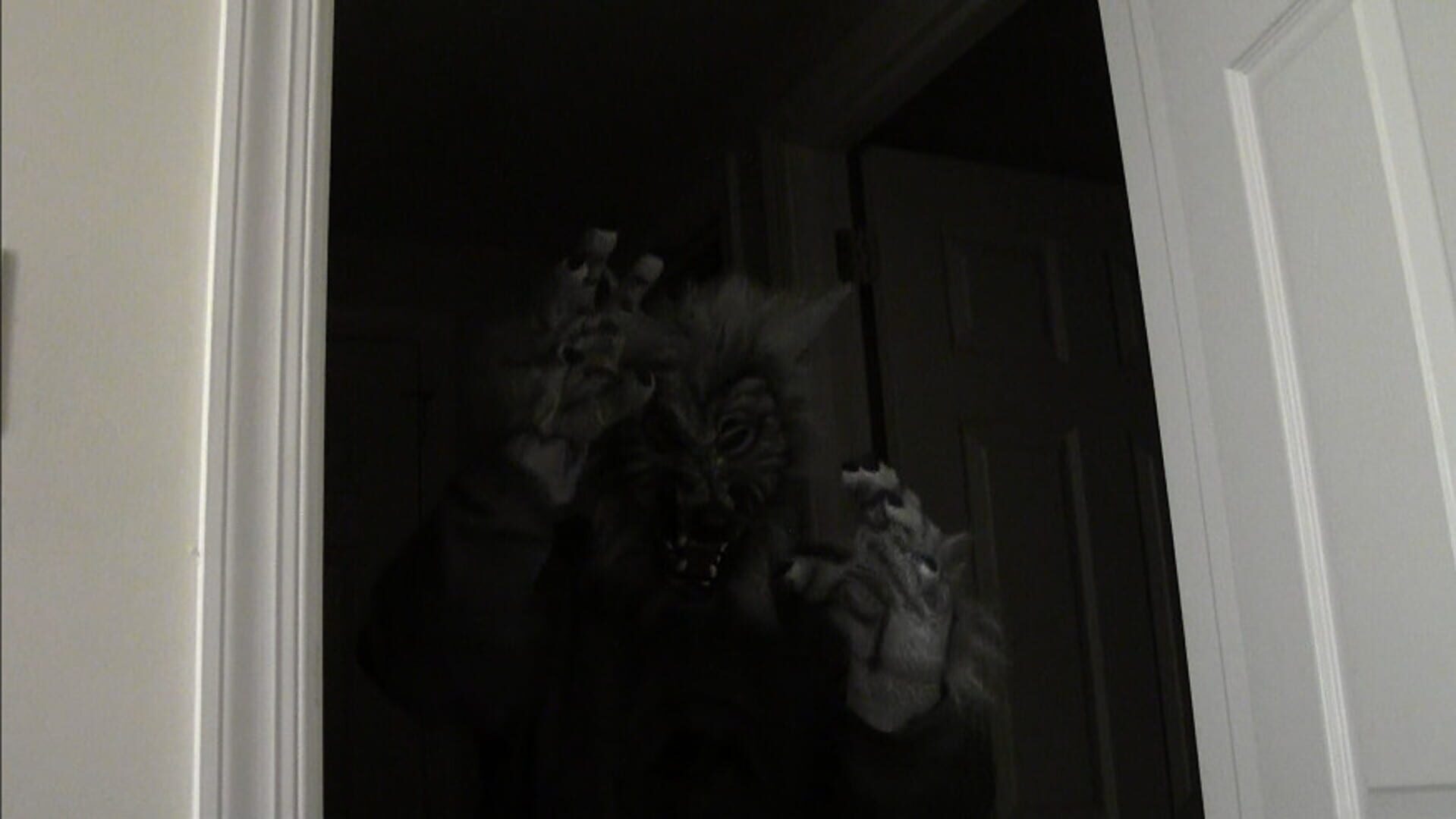 Fright Light - Screenshot