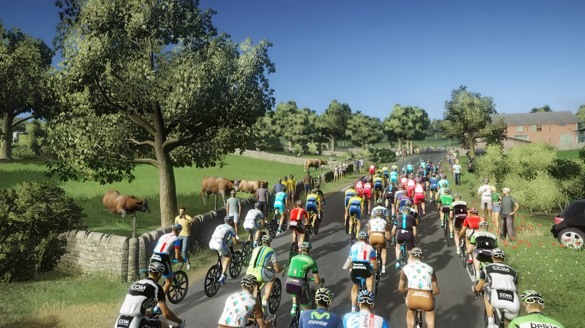 Captura de pantalla - Tour de France 2014