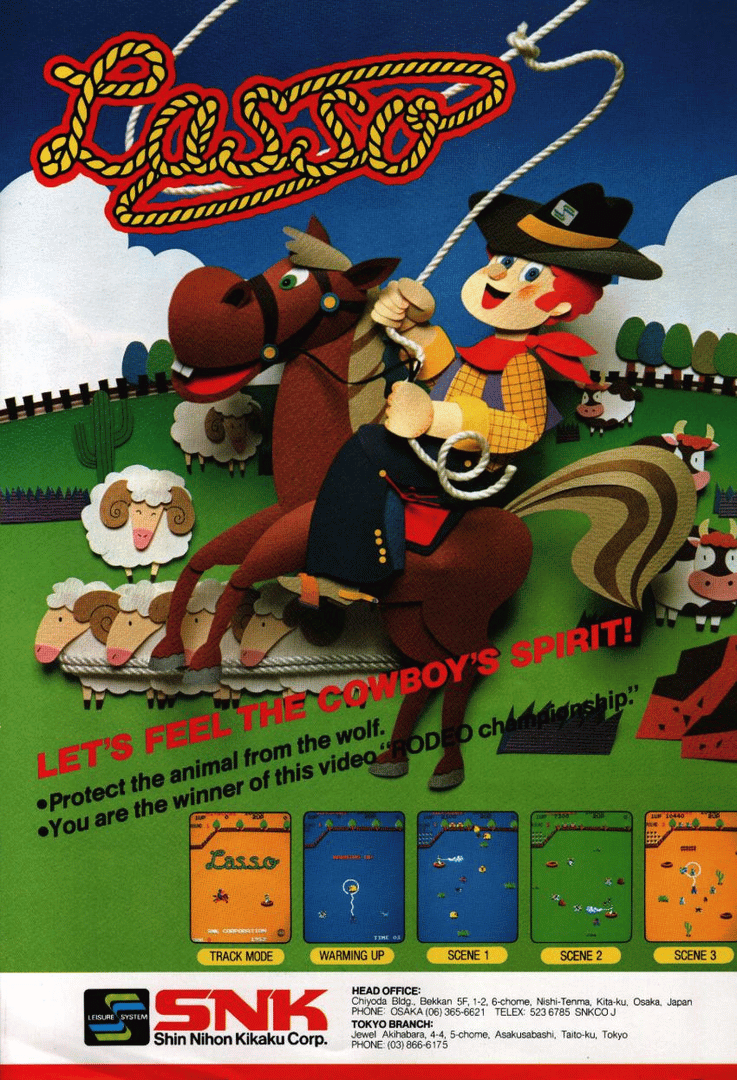 Lasso Cover