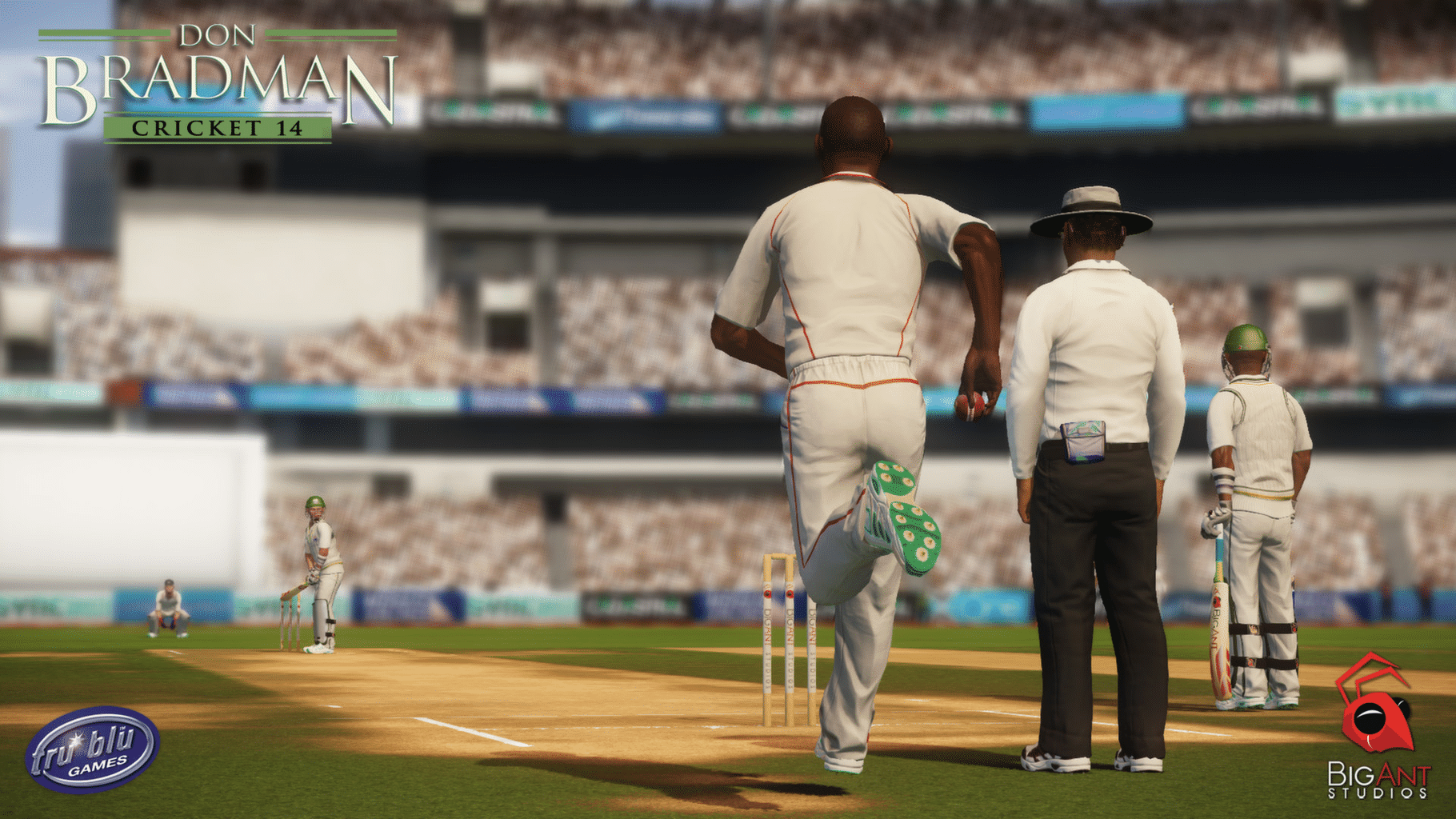 Don Bradman Cricket 14 screenshot