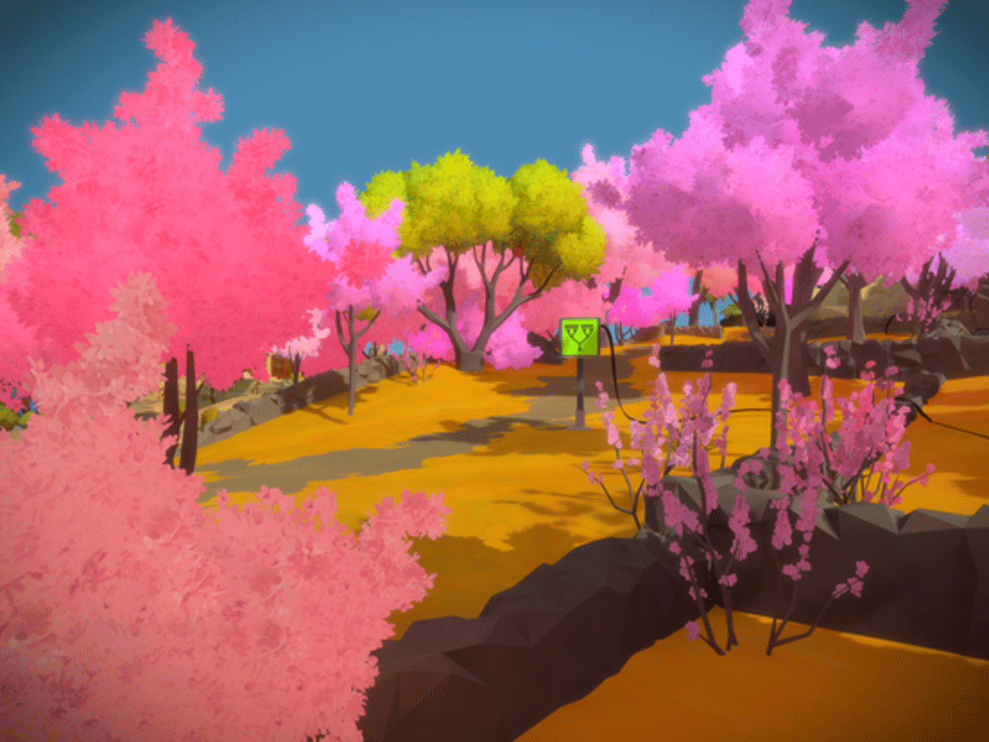 The Witness screenshot