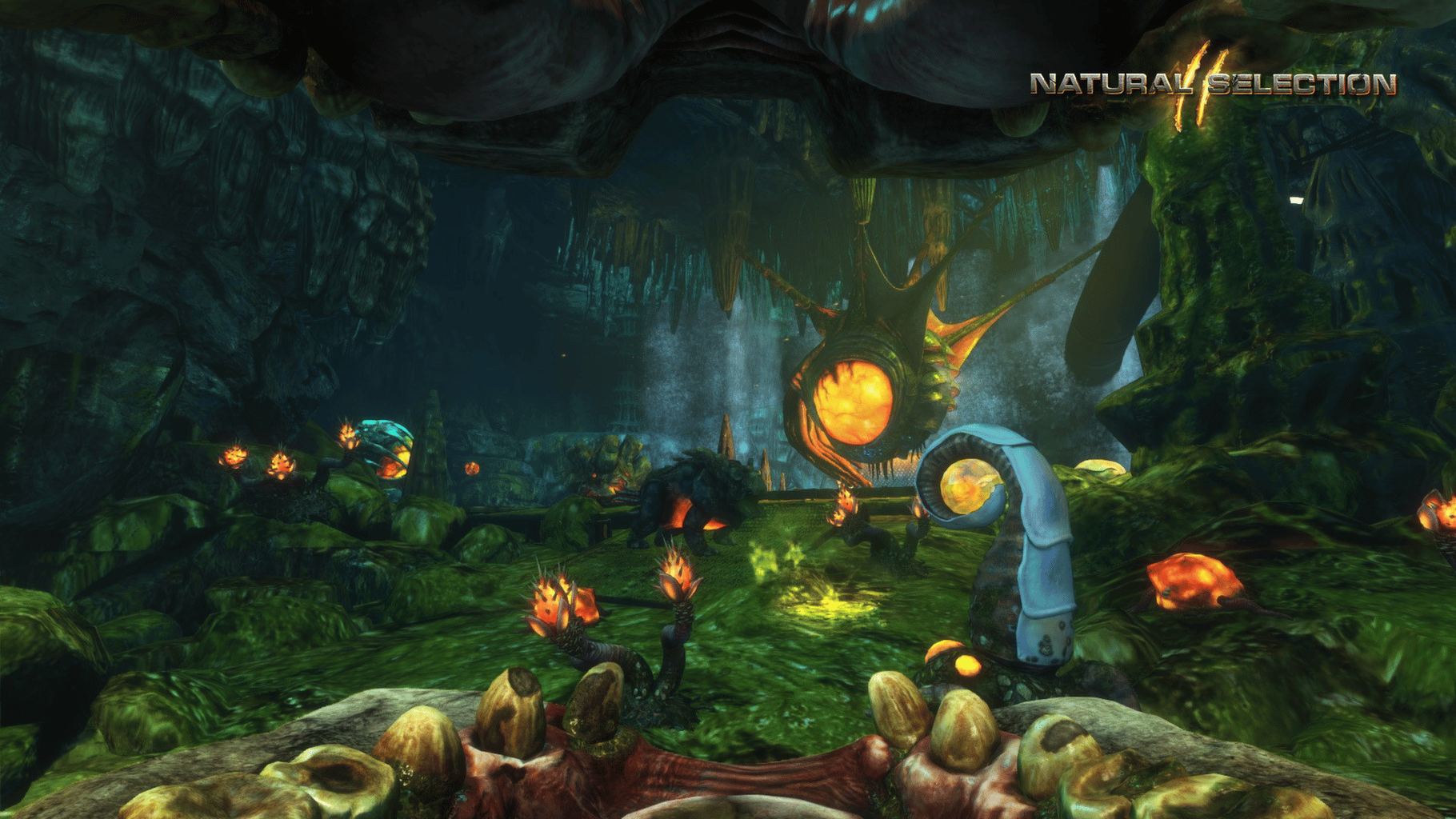 Natural Selection 2 - Deluxe DLC screenshot