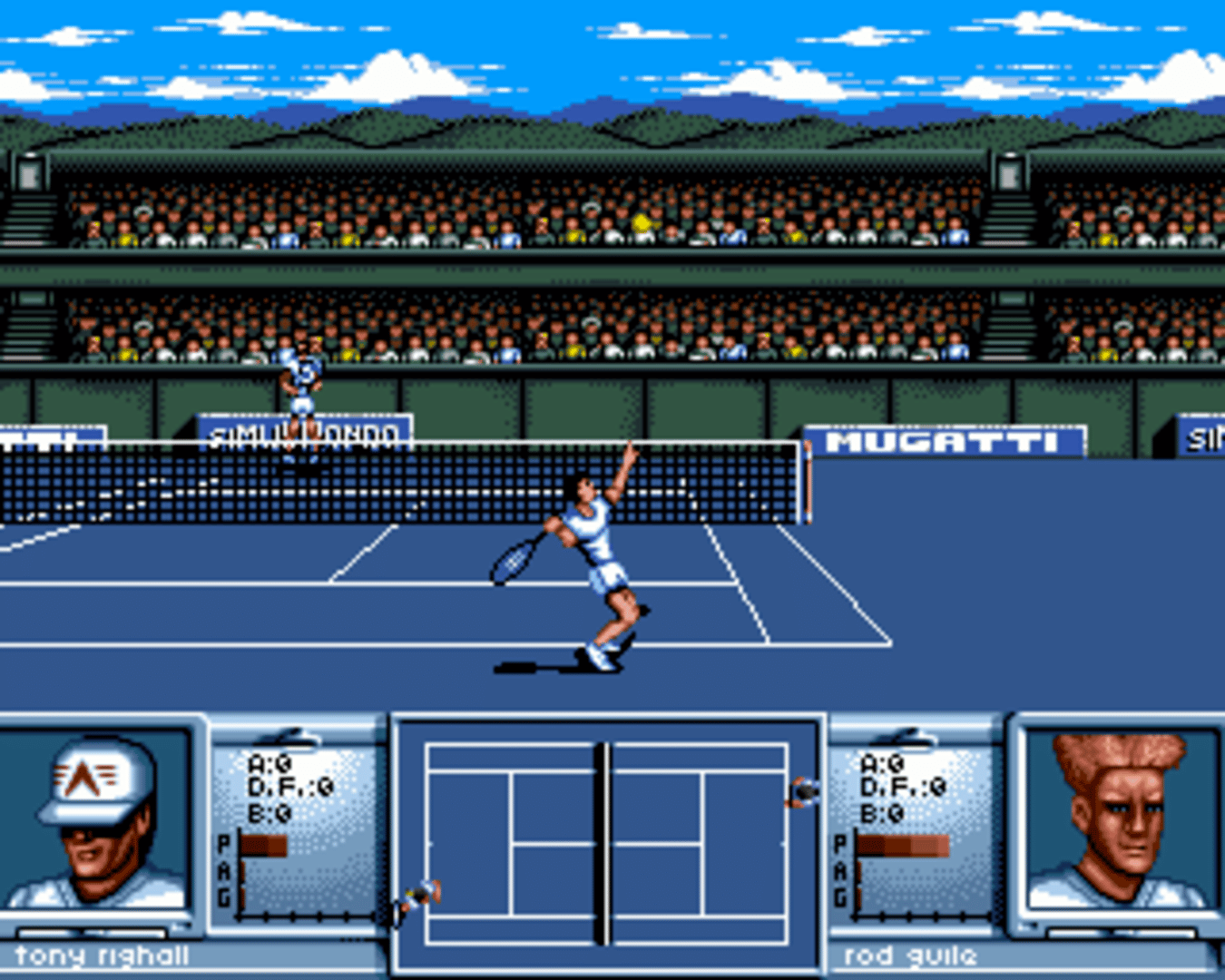 3D World Tennis screenshot