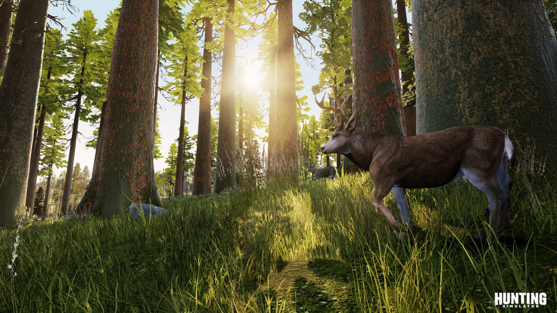 Hunting Simulator screenshot