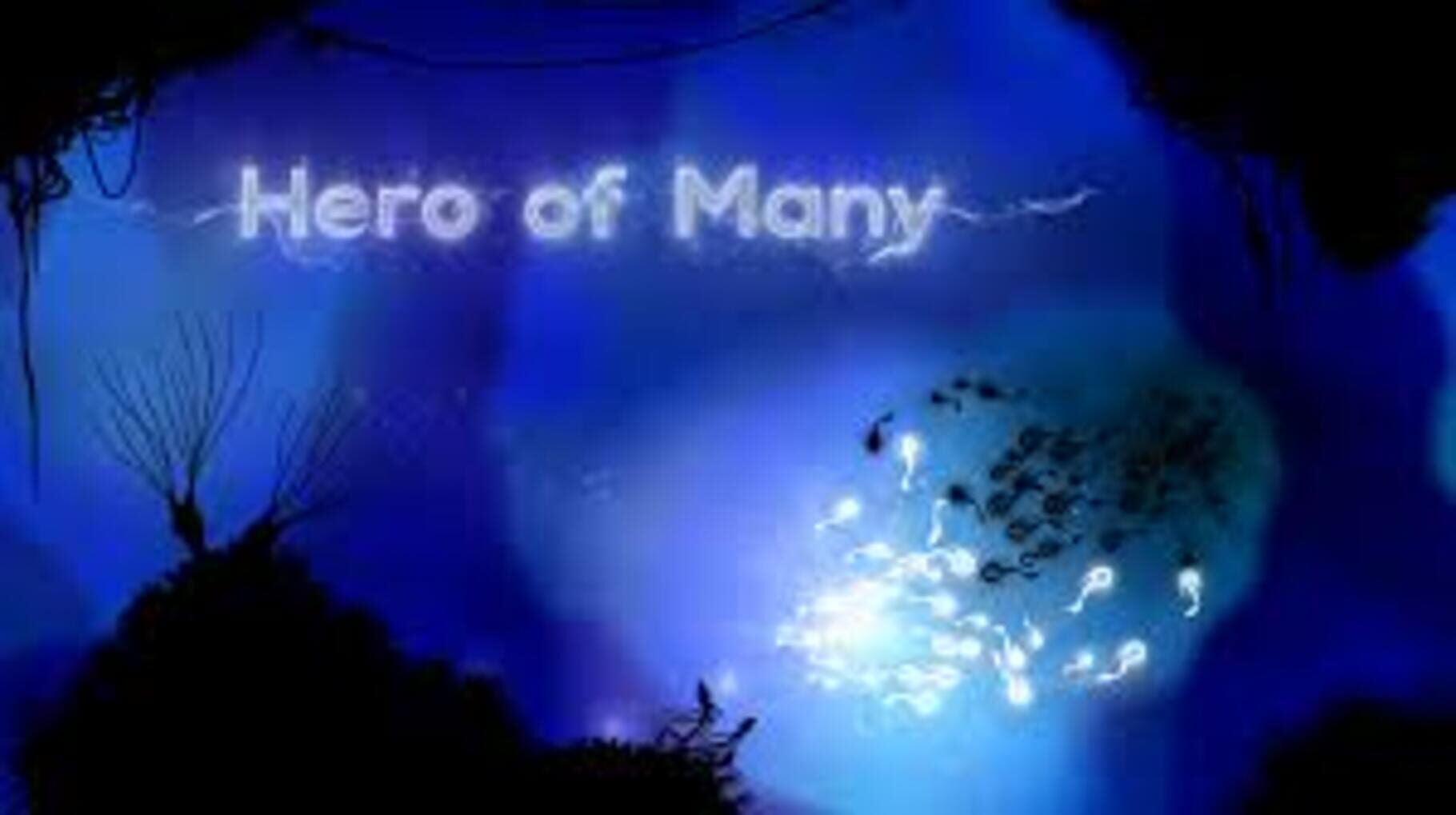 Hero of Many (2014)