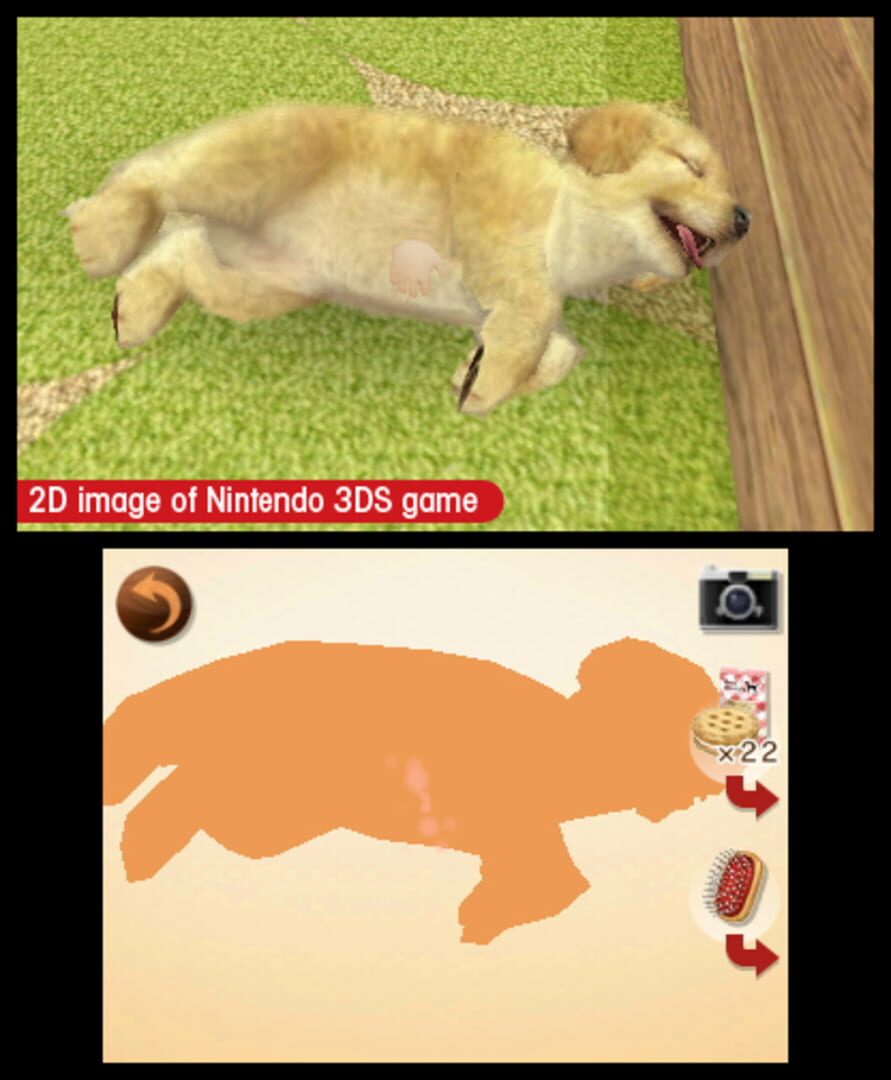 Captura de pantalla - Nintendogs + Cats: French Bulldog & New Friends