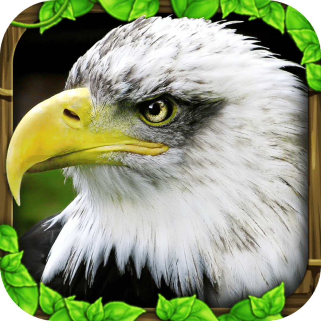 Eagle Simulator Cover