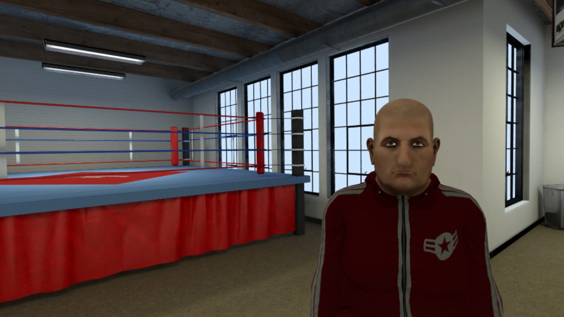 Captura de pantalla - The Thrill of the Fight - VR Boxing