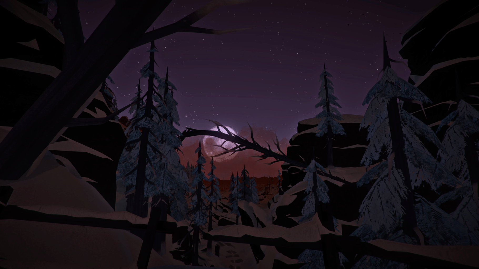 The Long Dark screenshot