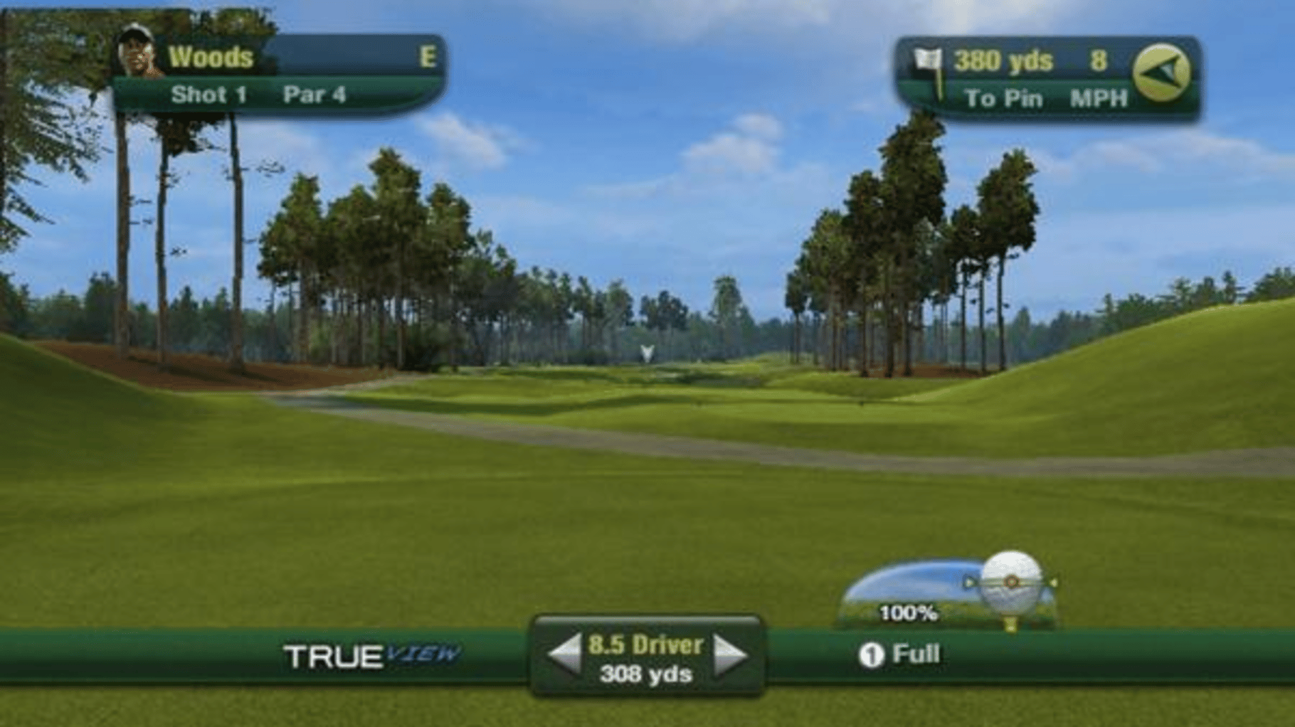 Tiger Woods PGA Tour 11 screenshot