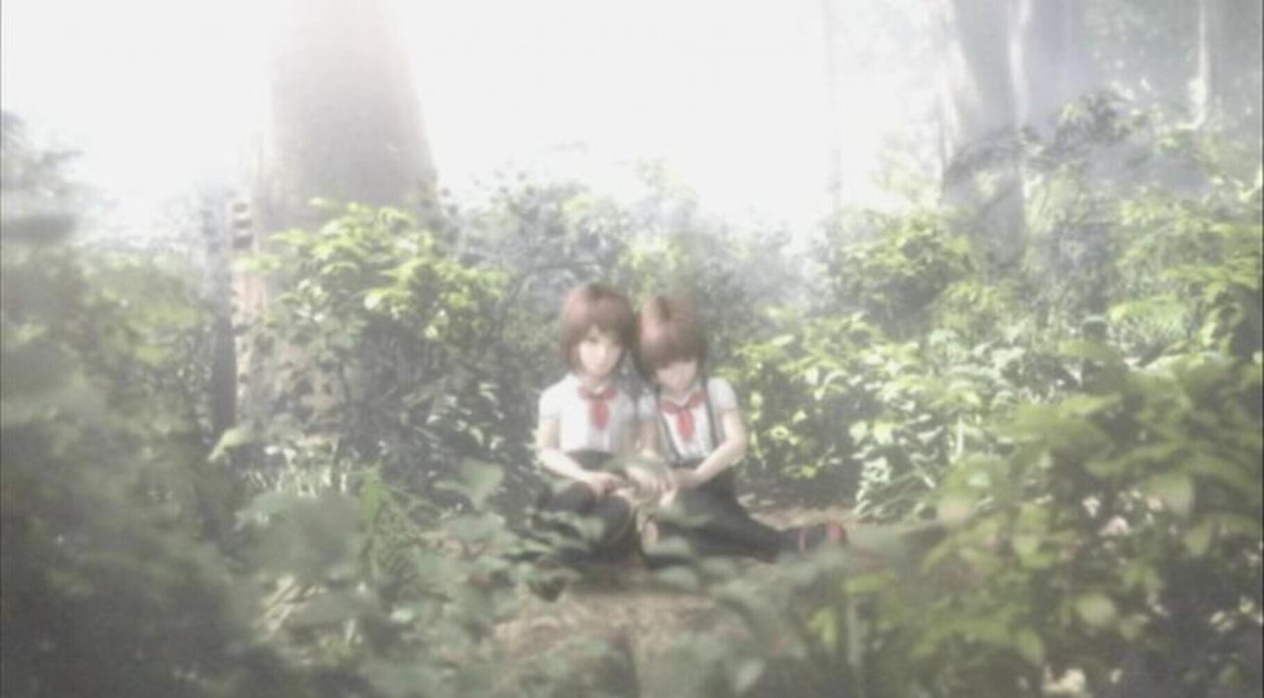 Captura de pantalla - Fatal Frame 2: Wii Edition