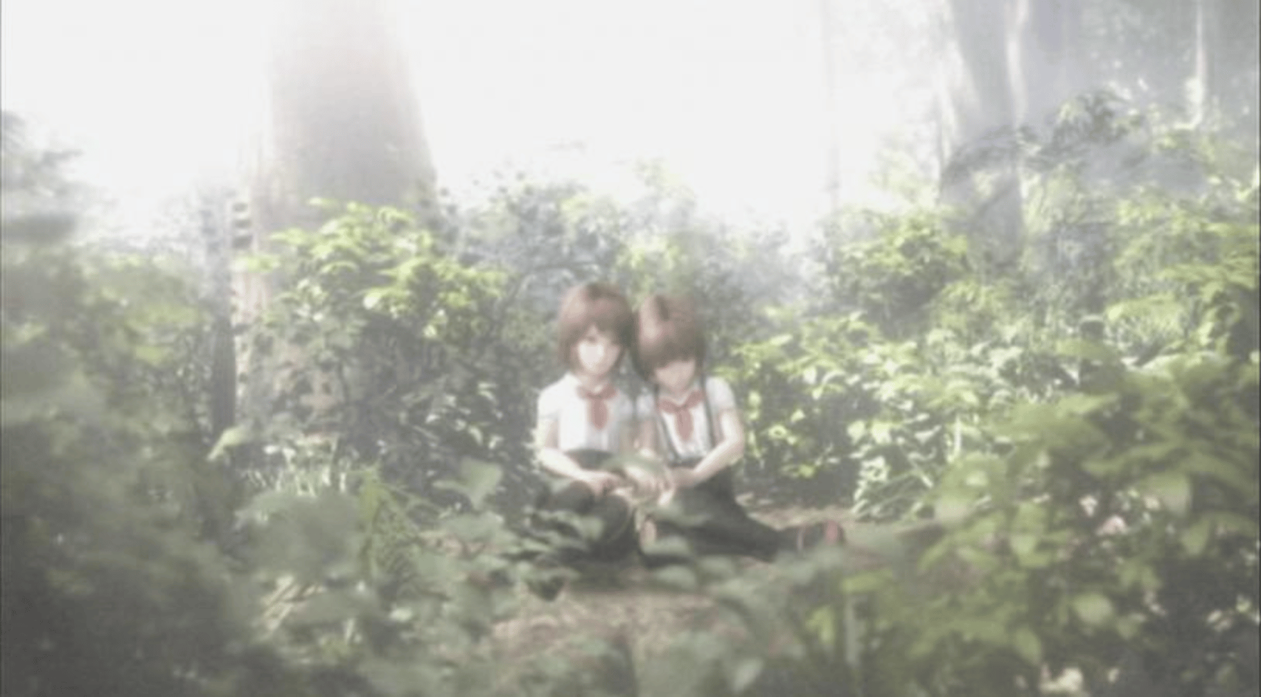 Fatal Frame 2: Wii Edition screenshot