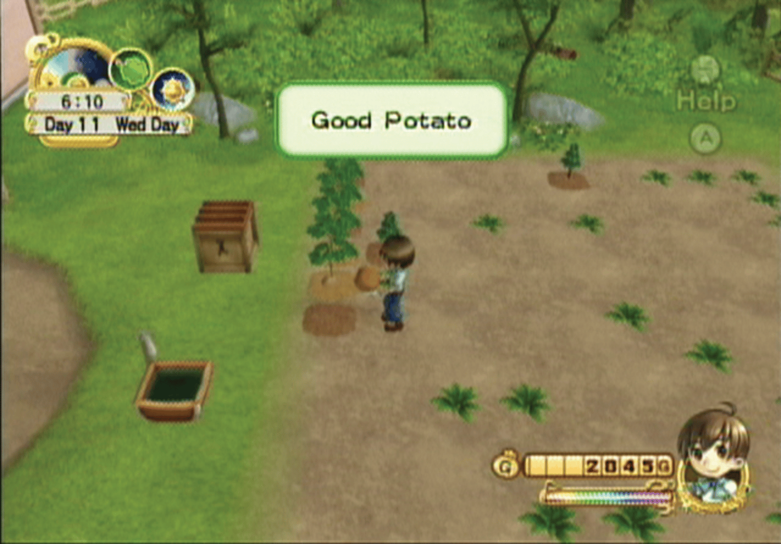 Harvest Moon: Tree of Tranquility screenshot