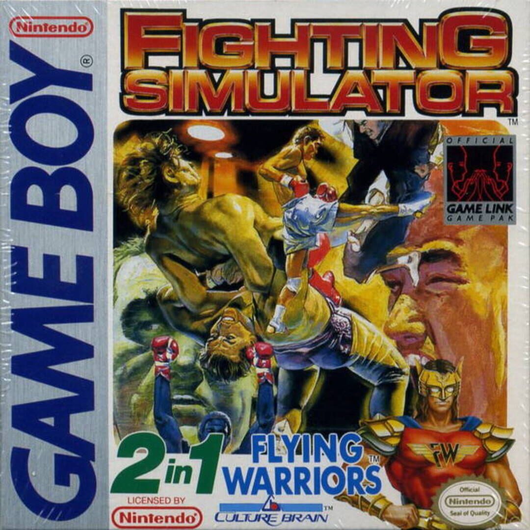 Fighting Simulator: 2-in-1 Flying Warriors (1990)