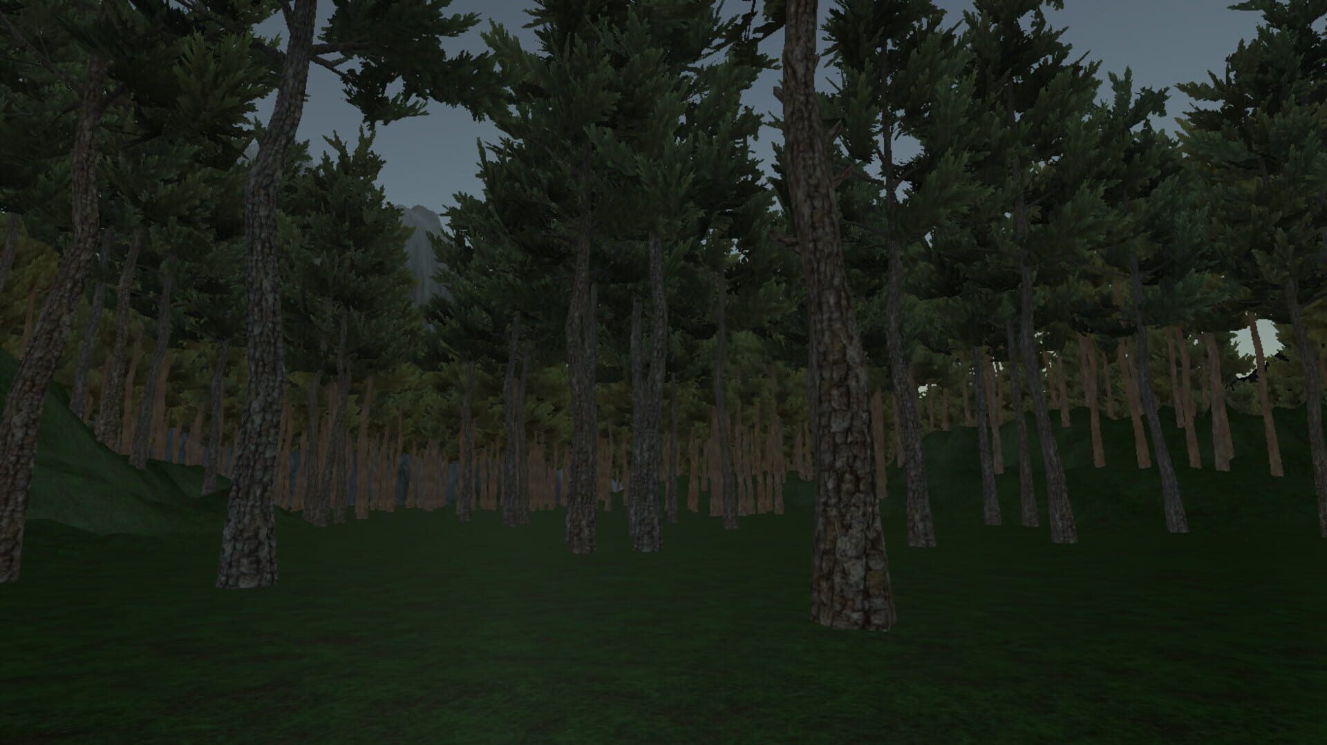 Country Park - Screenshot