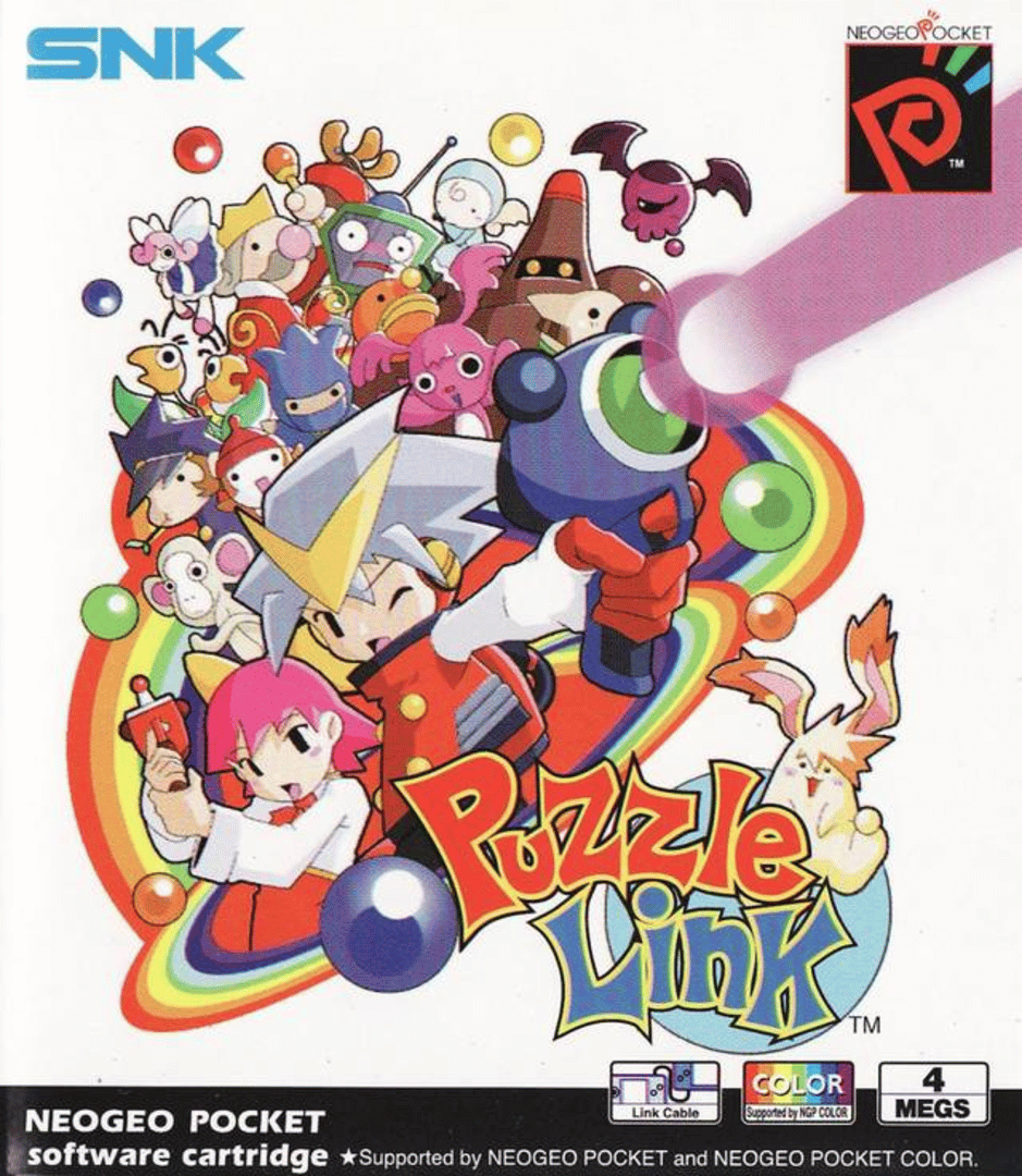 Puzzle Link Cover