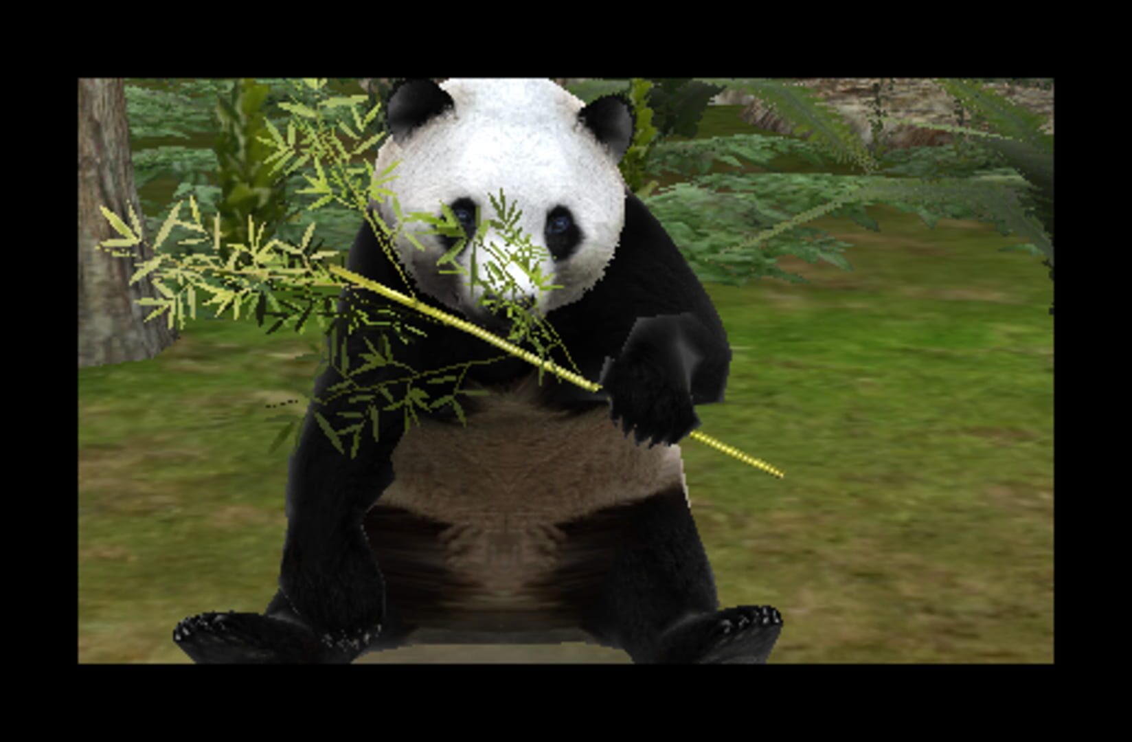 Captura de pantalla - Zoo Resort 3D