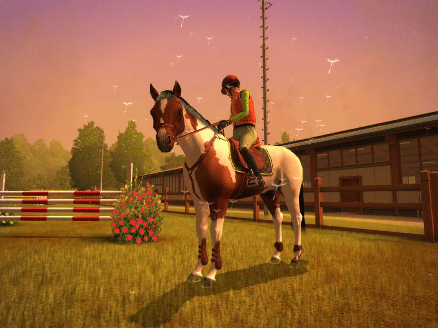 My Horse & Me screenshot