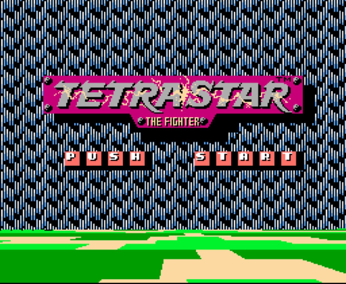 Tetrastar: The Fighter (1991)