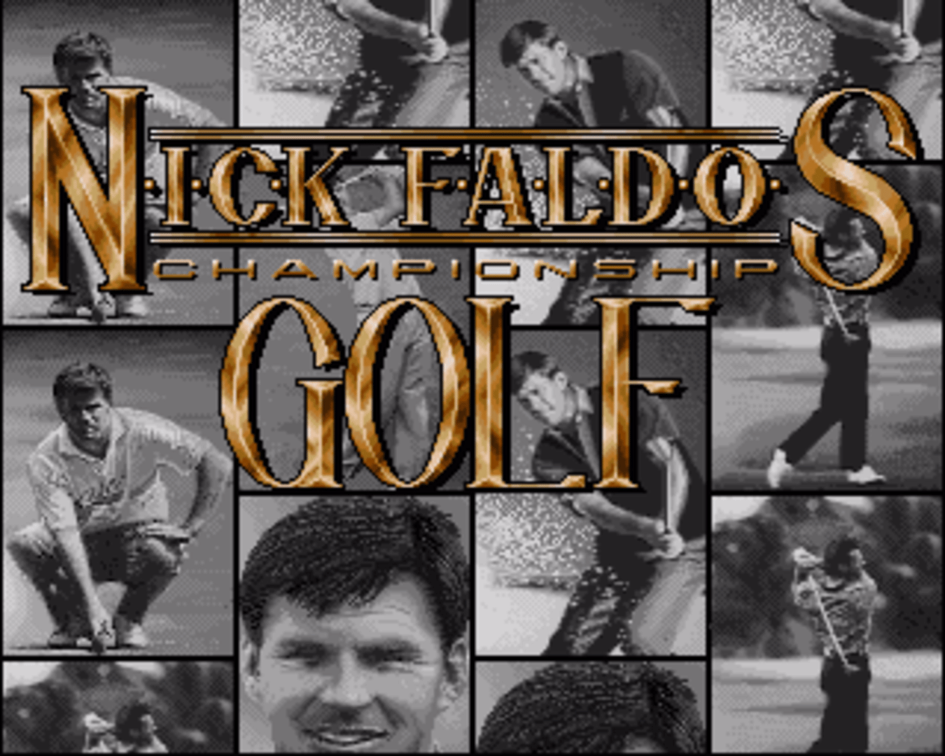 Nick Faldo's Championship Golf screenshot