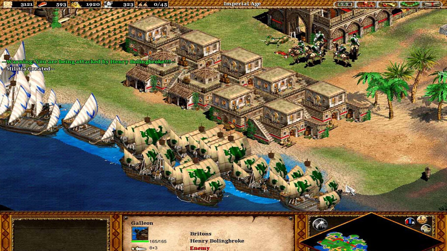 Captura de pantalla - Age of Empires II: The Conquerors