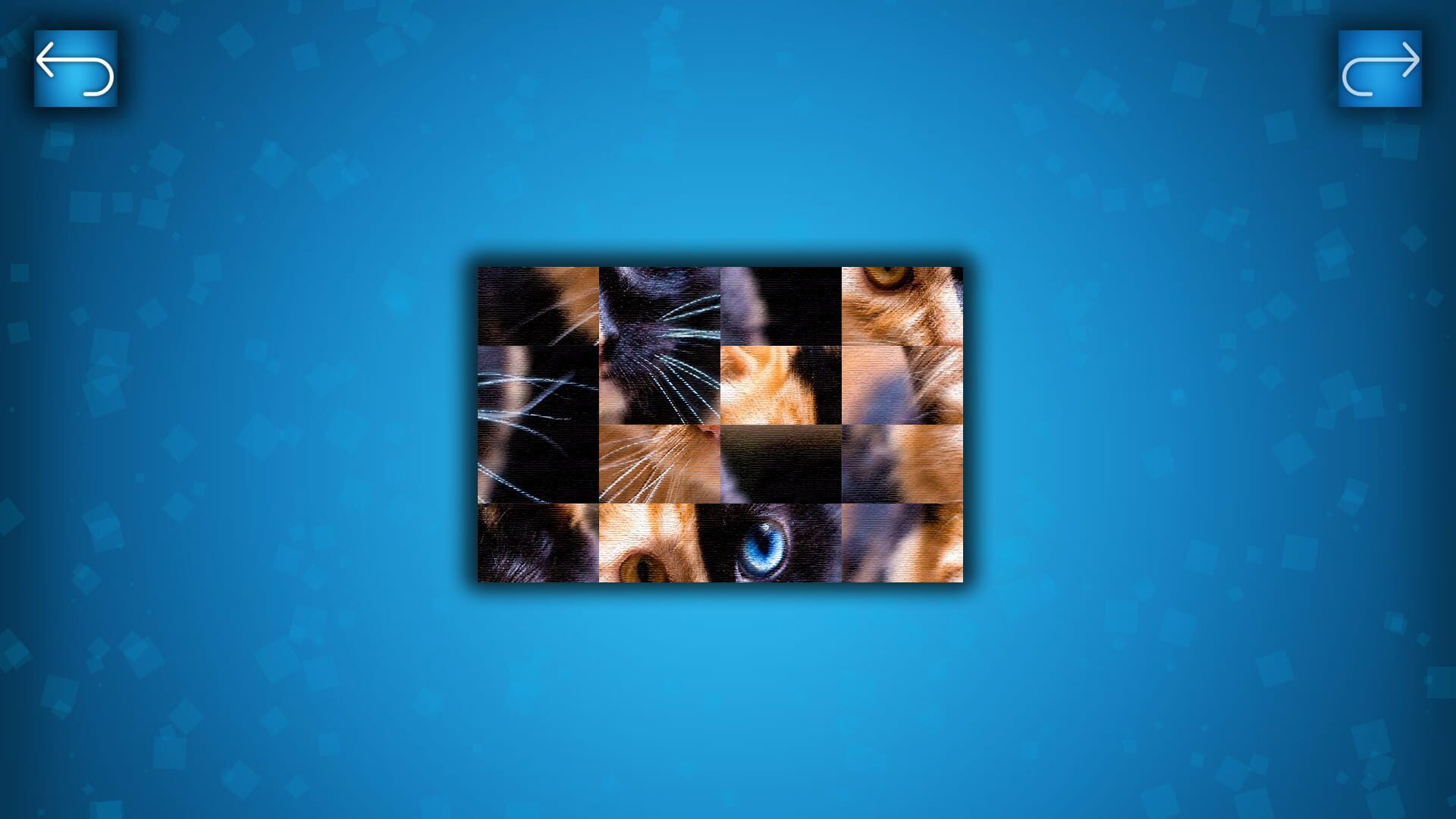 Puzzle: Cats & Dogs - Screenshot