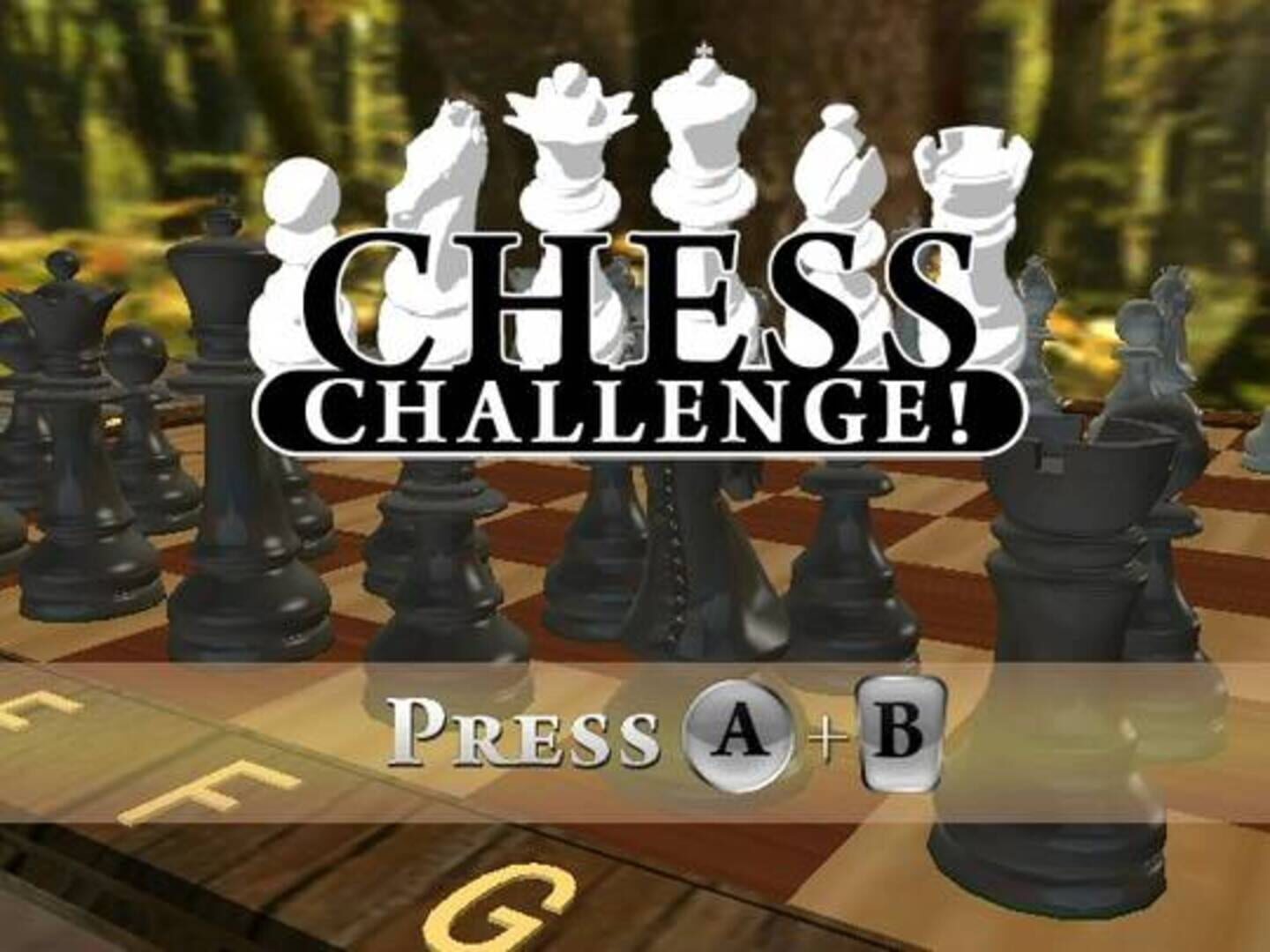 Chess Challenge! (2010)