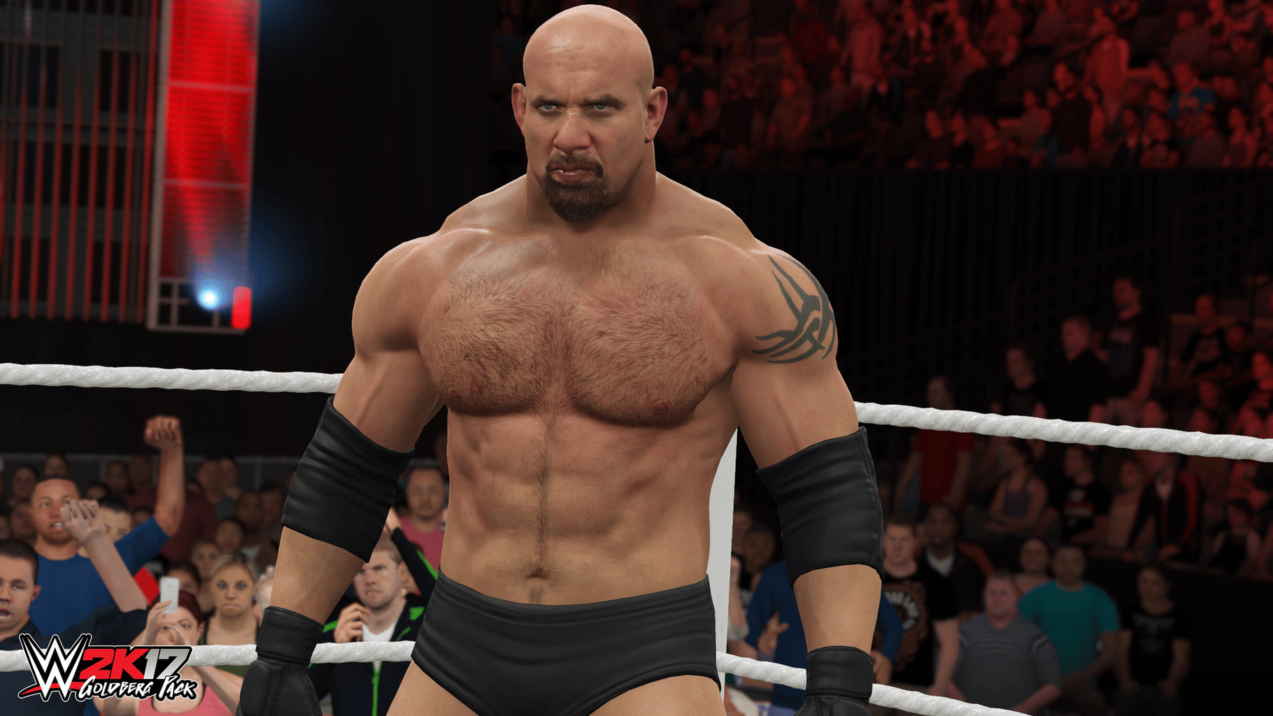 WWE 2K17 screenshot