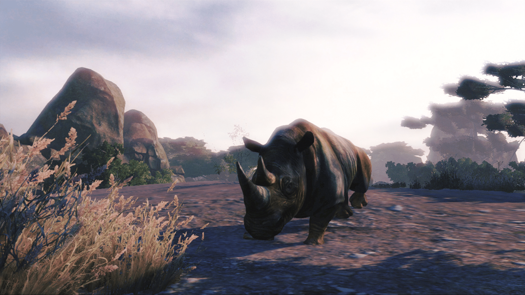 Cabela's African Adventures screenshot