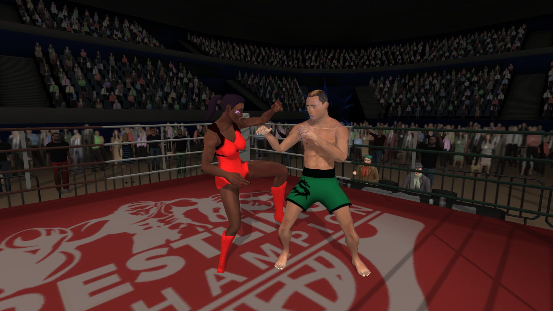 Wrestlers Without Boundaries - Screenshot