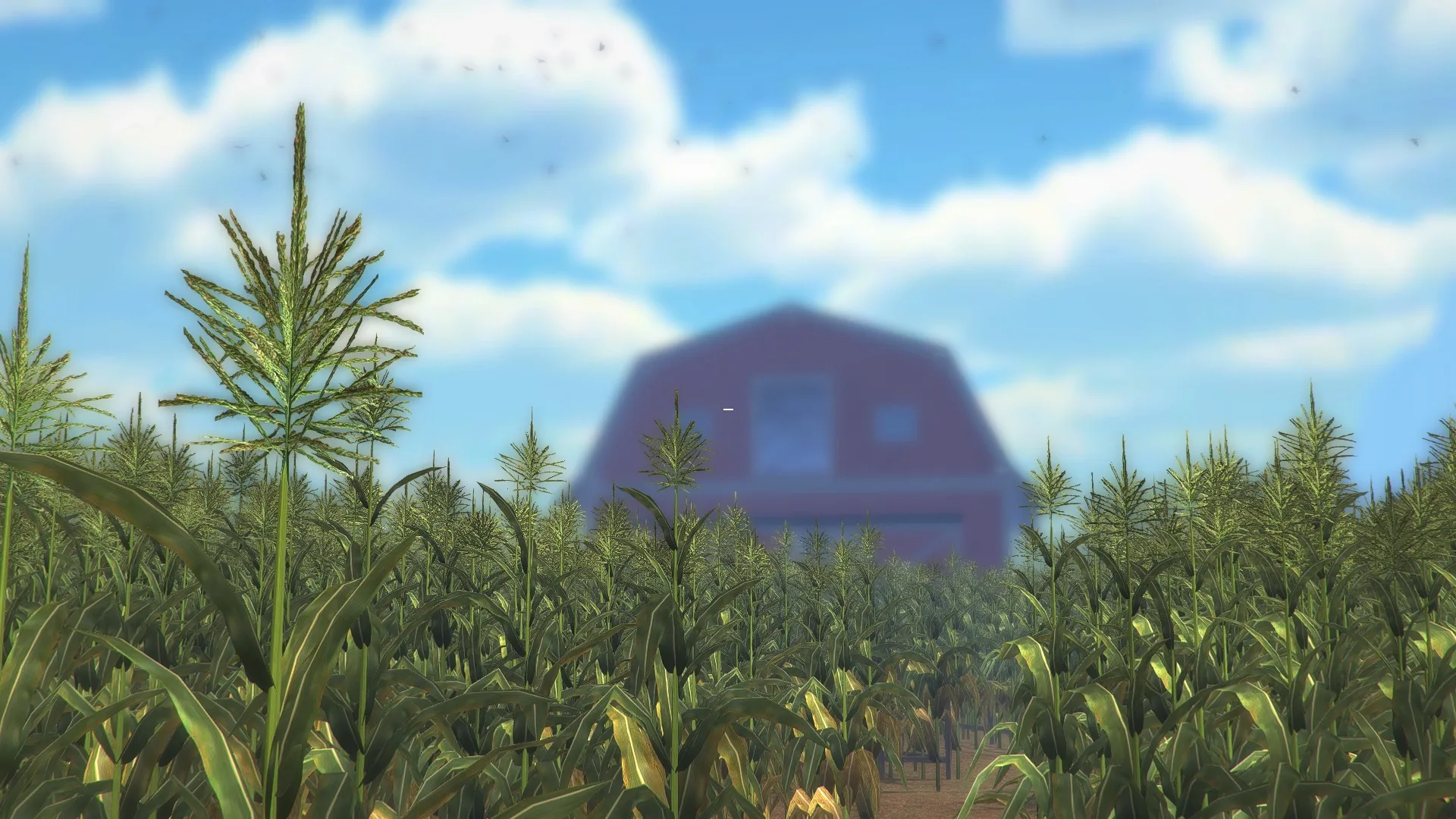 Thumbnail 11