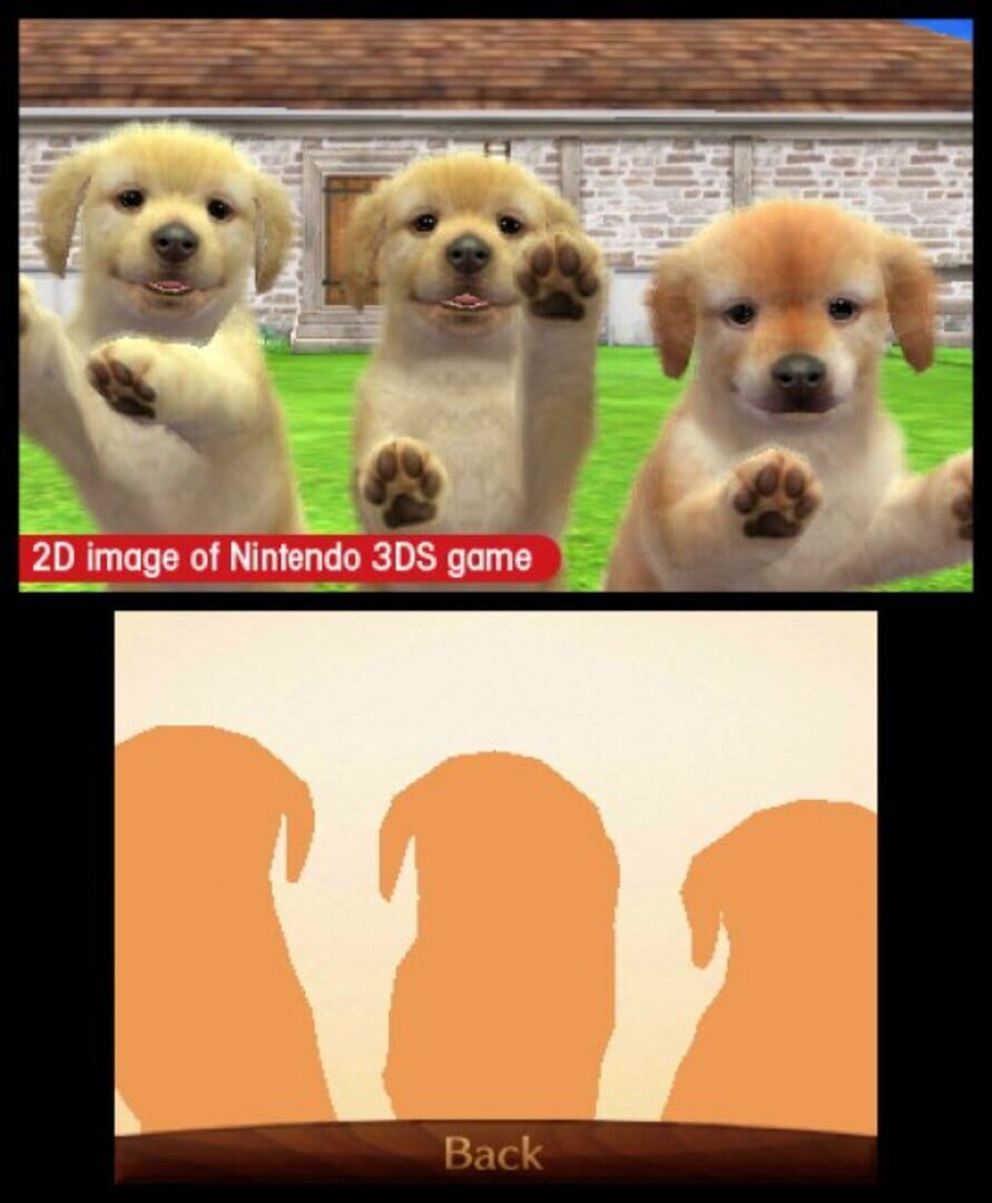 Captura de pantalla - Nintendogs + Cats: Golden Retriever & New Friends