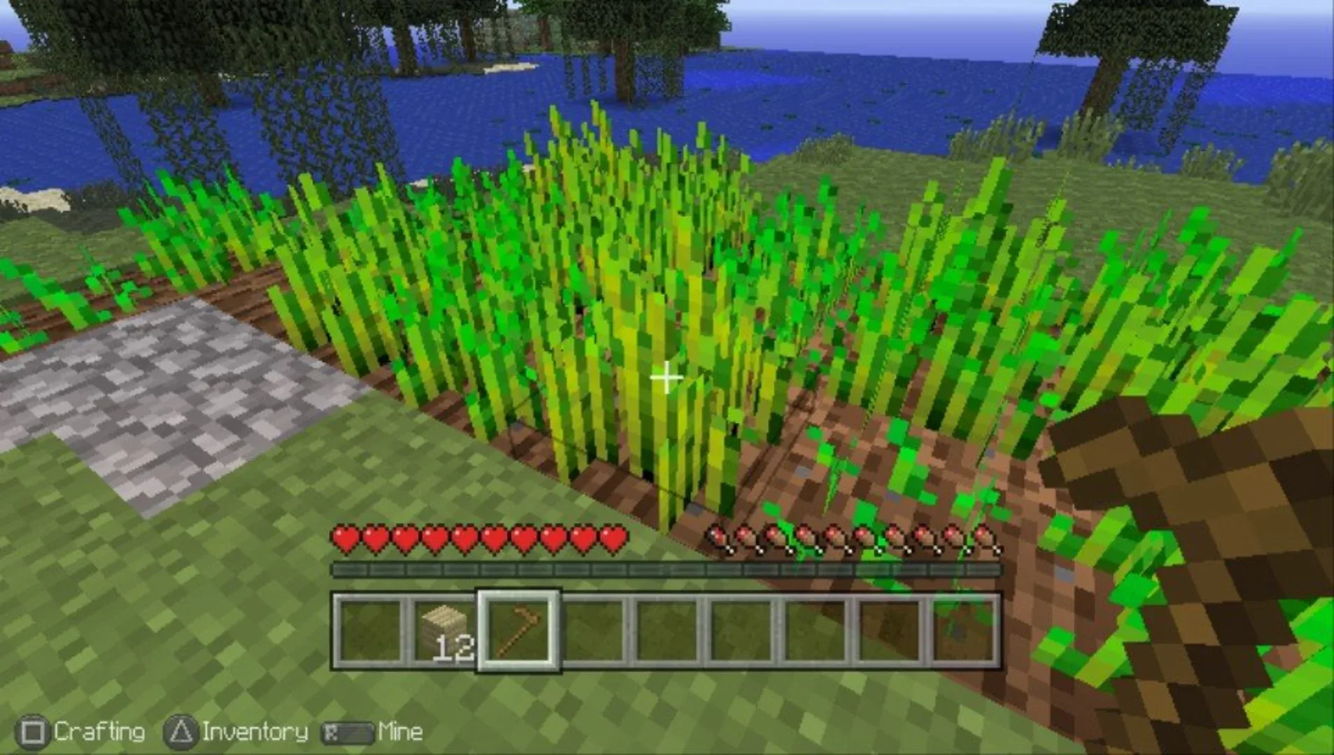 Captura de pantalla - Minecraft: Playstation Vita Edition