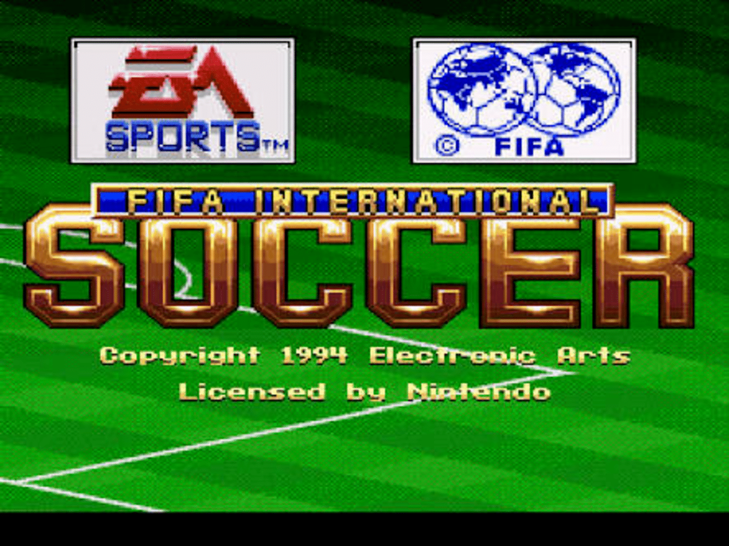 FIFA International Soccer screenshot