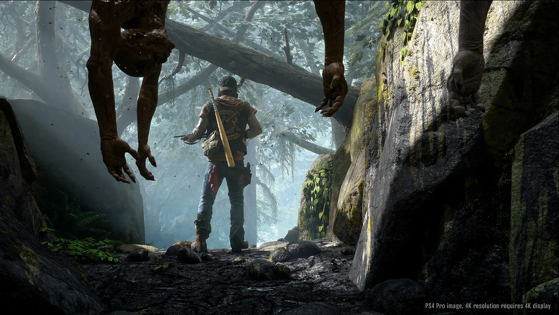 Captura de pantalla - Days Gone