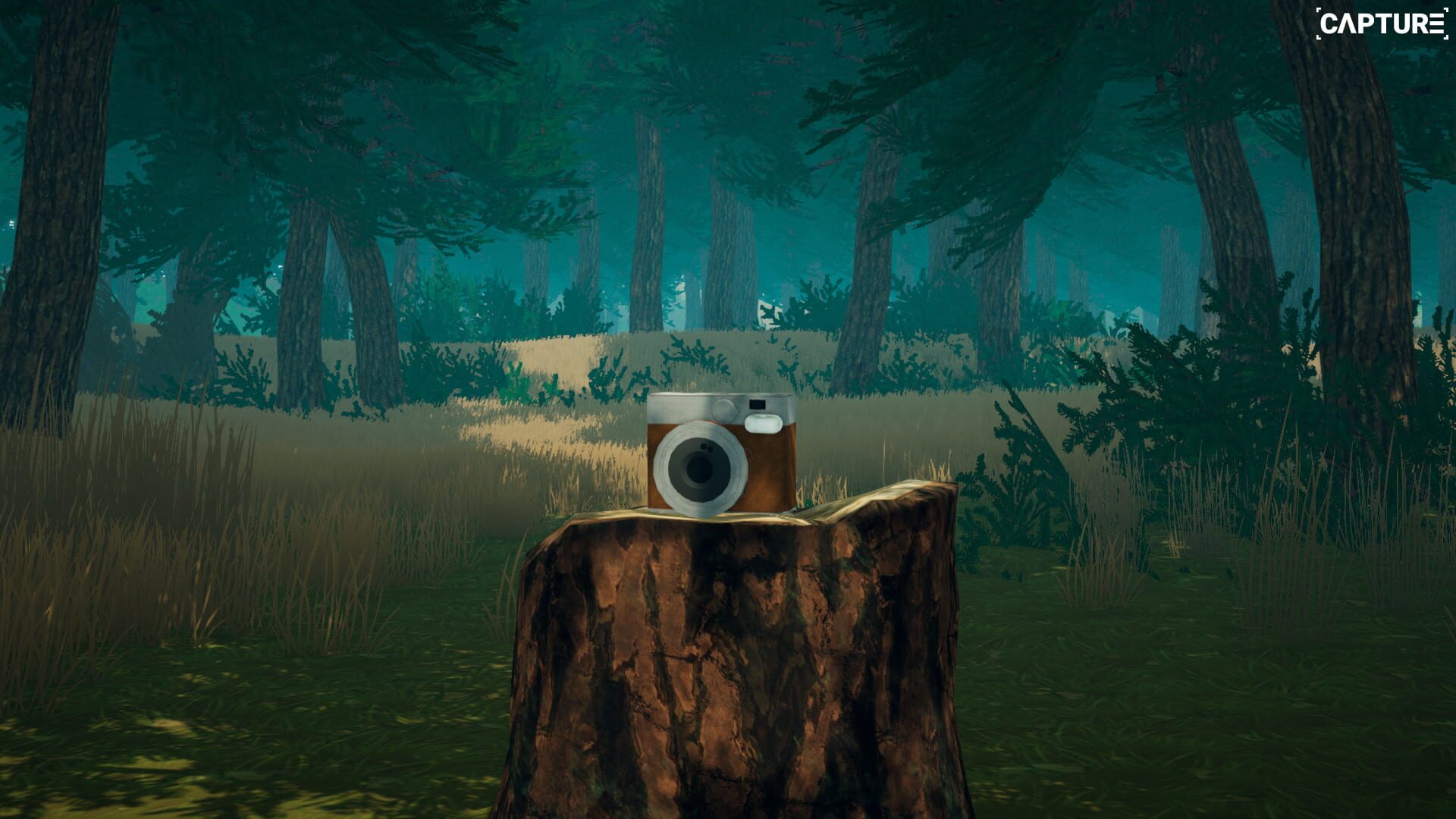 Capture - Screenshot
