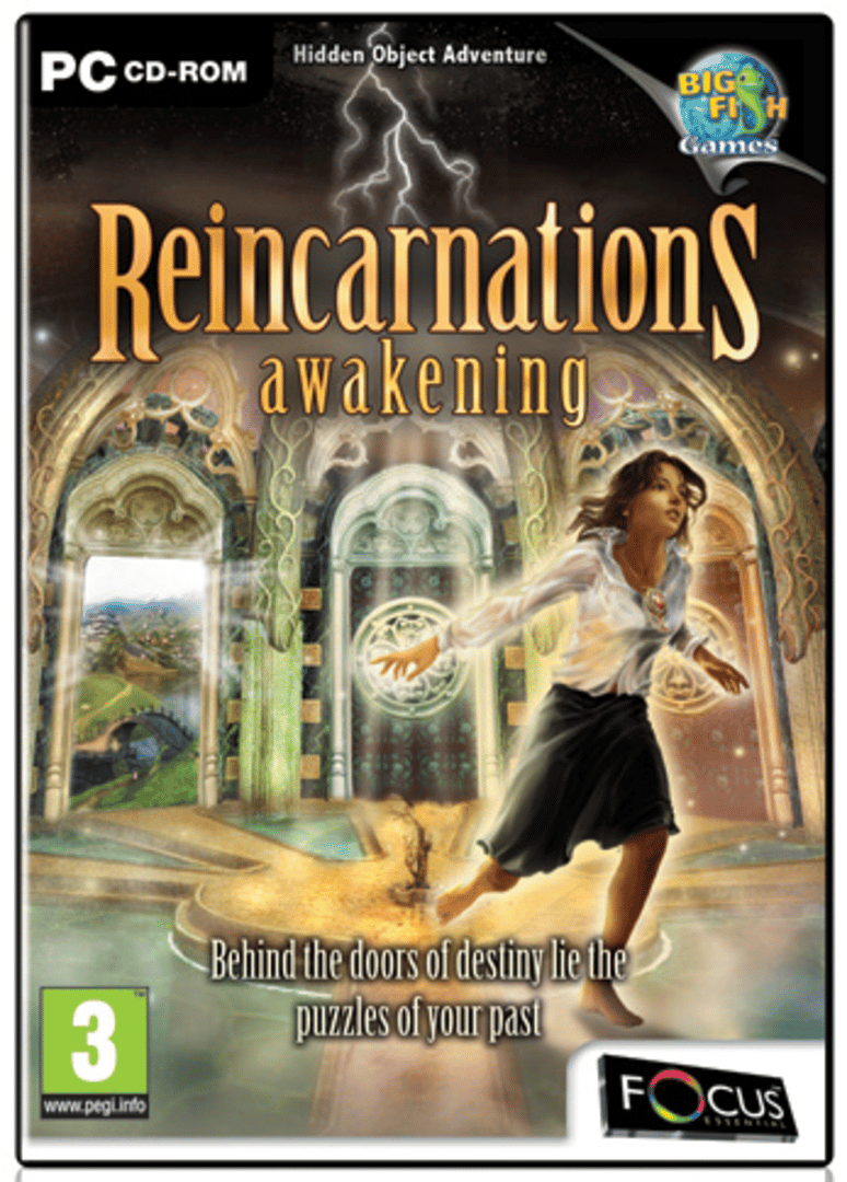 Reincarnations: Awakening Cover