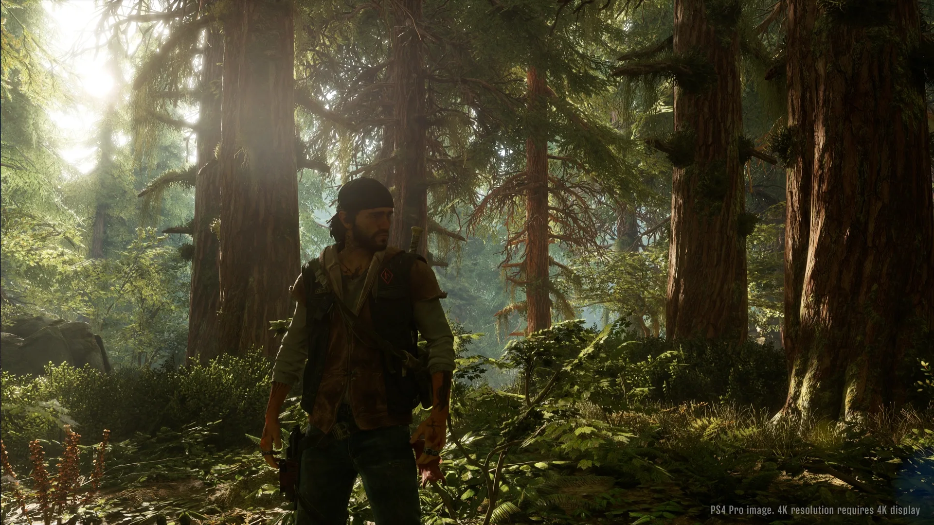 Captura de pantalla - Days Gone