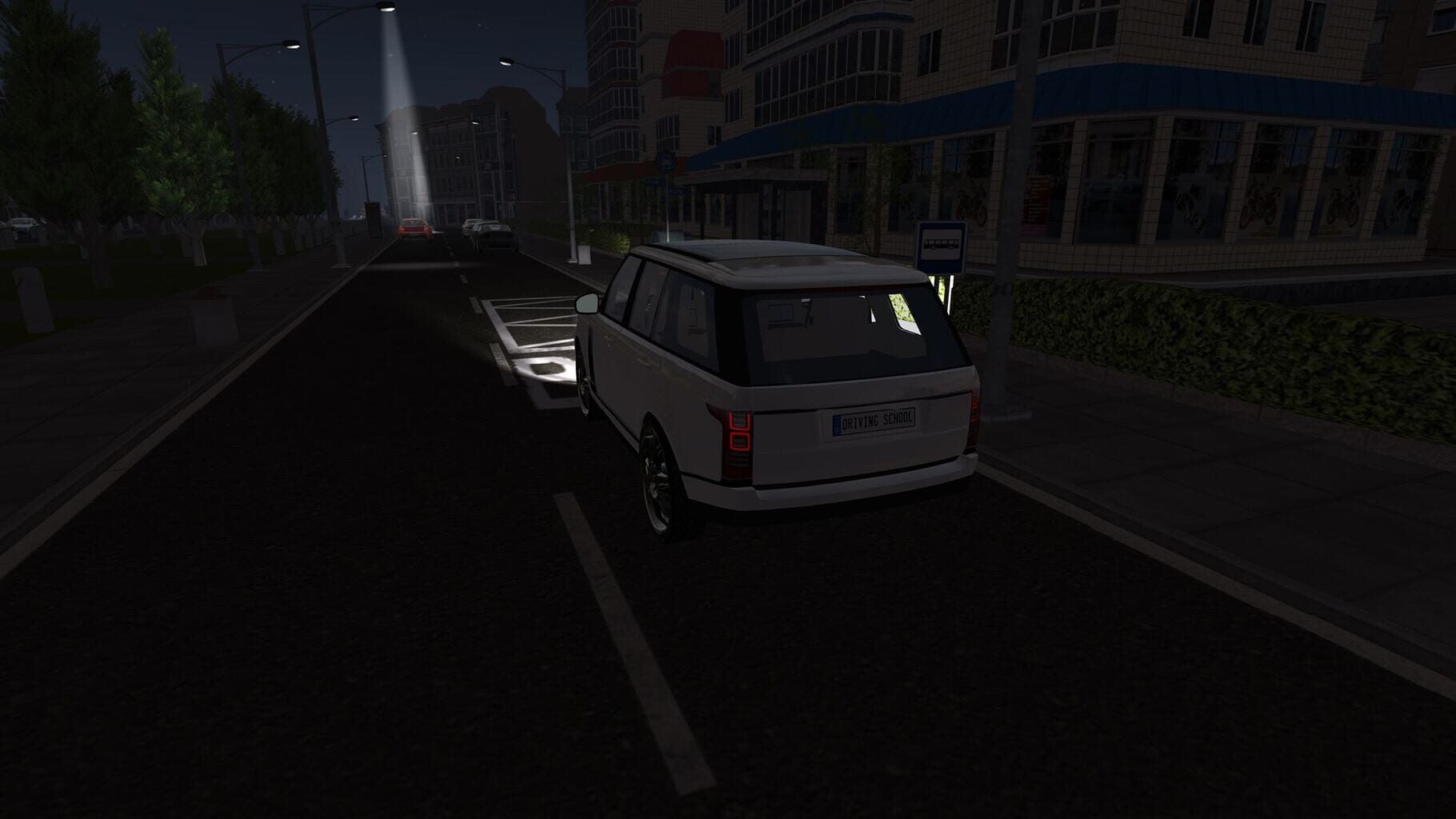 Driving School Simulator screenshot