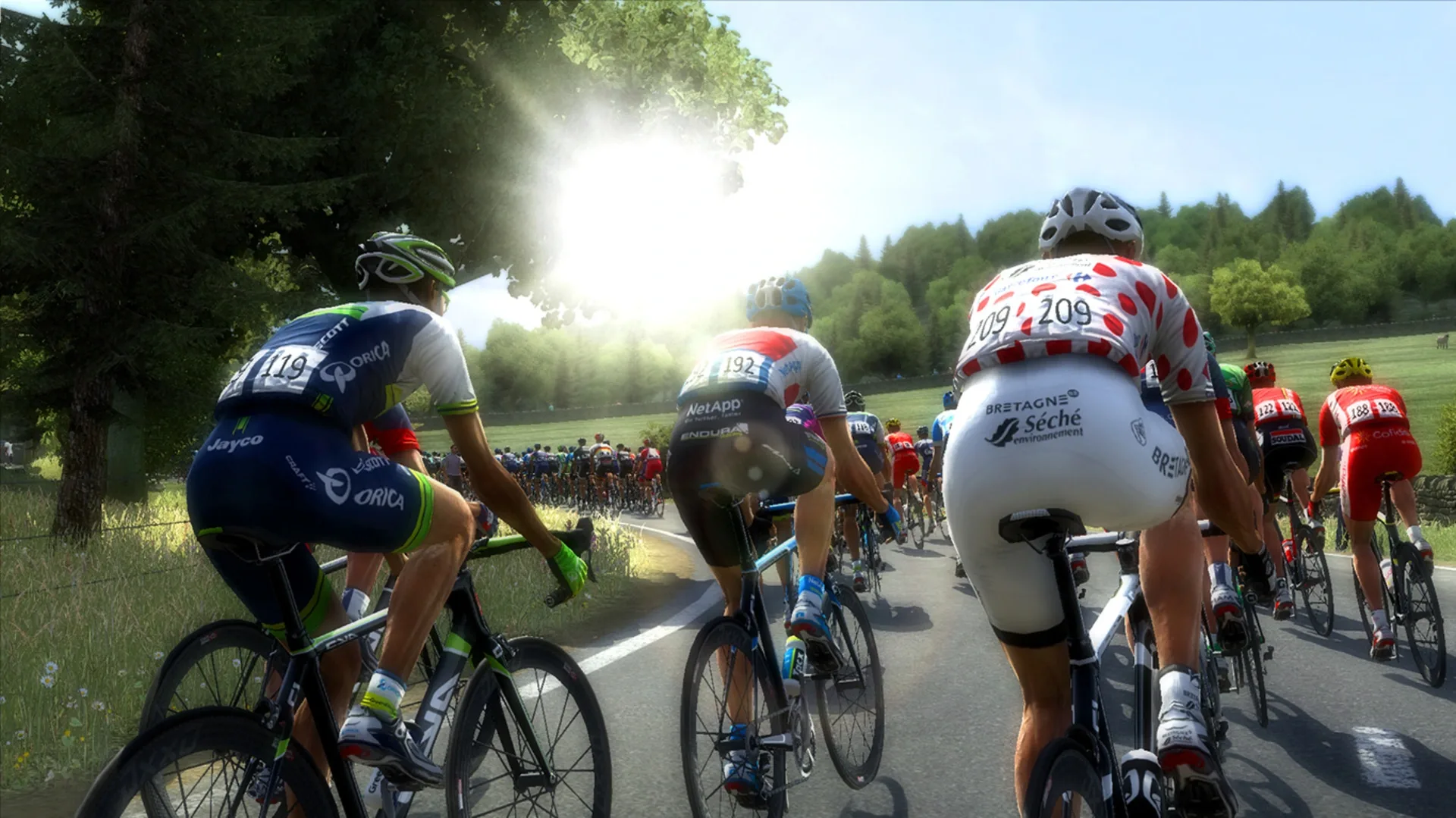 Captura de pantalla - Pro Cycling Manager 2014