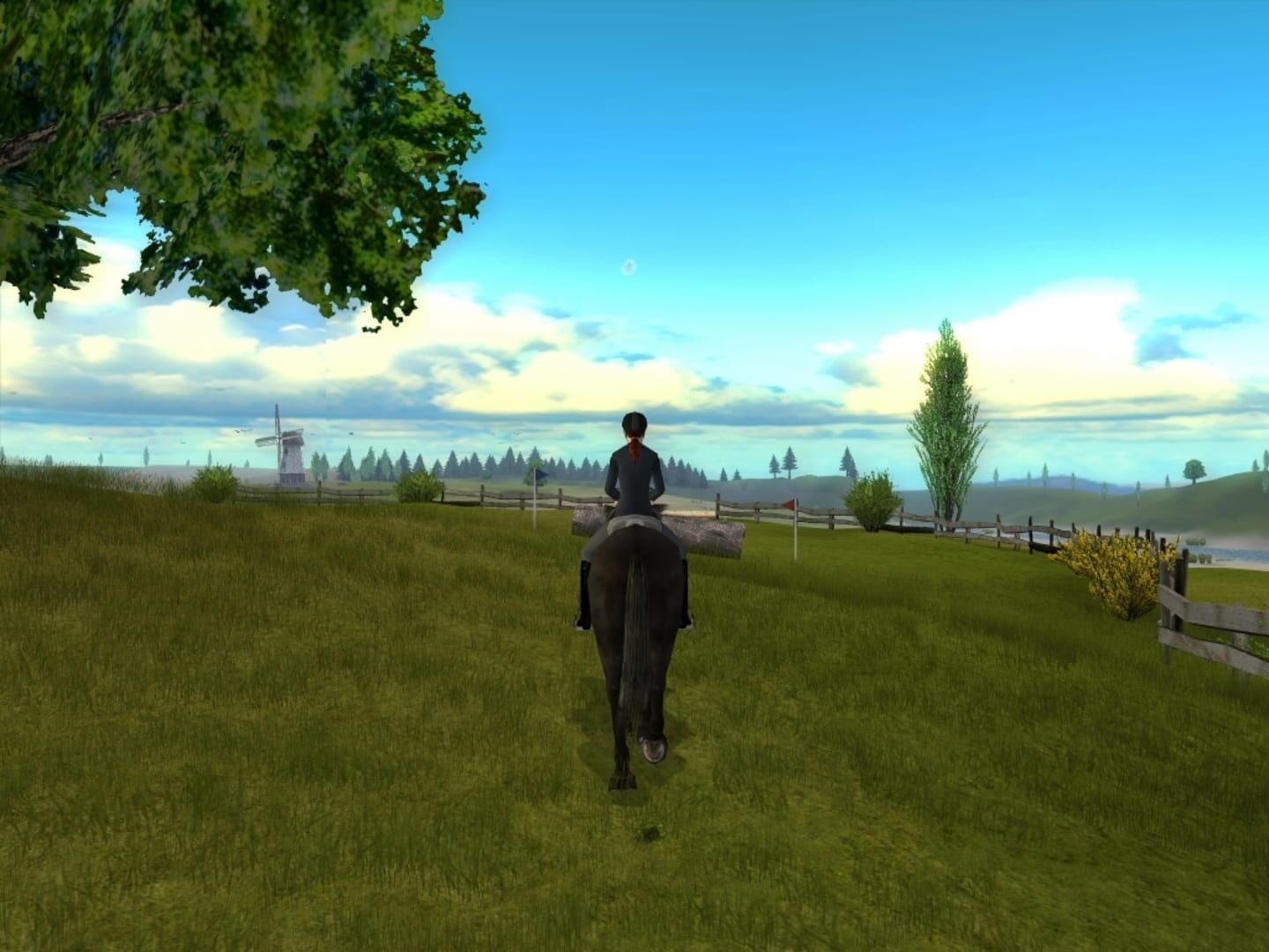 Captura de pantalla - Life with Horses 3D